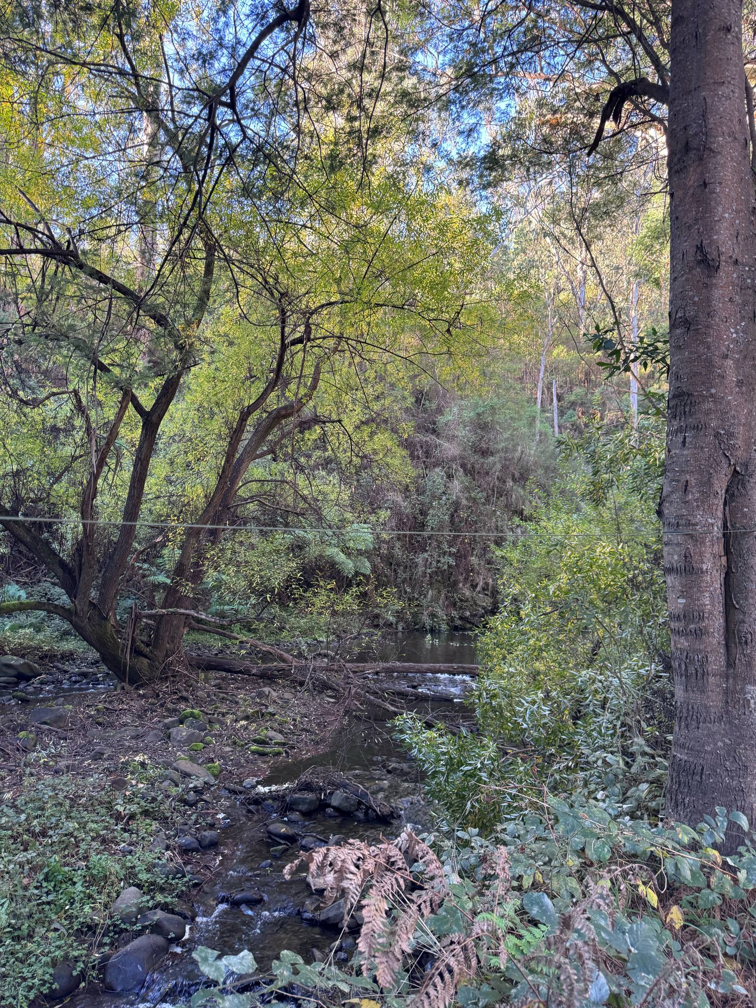 Merrimans Creek Seclusion