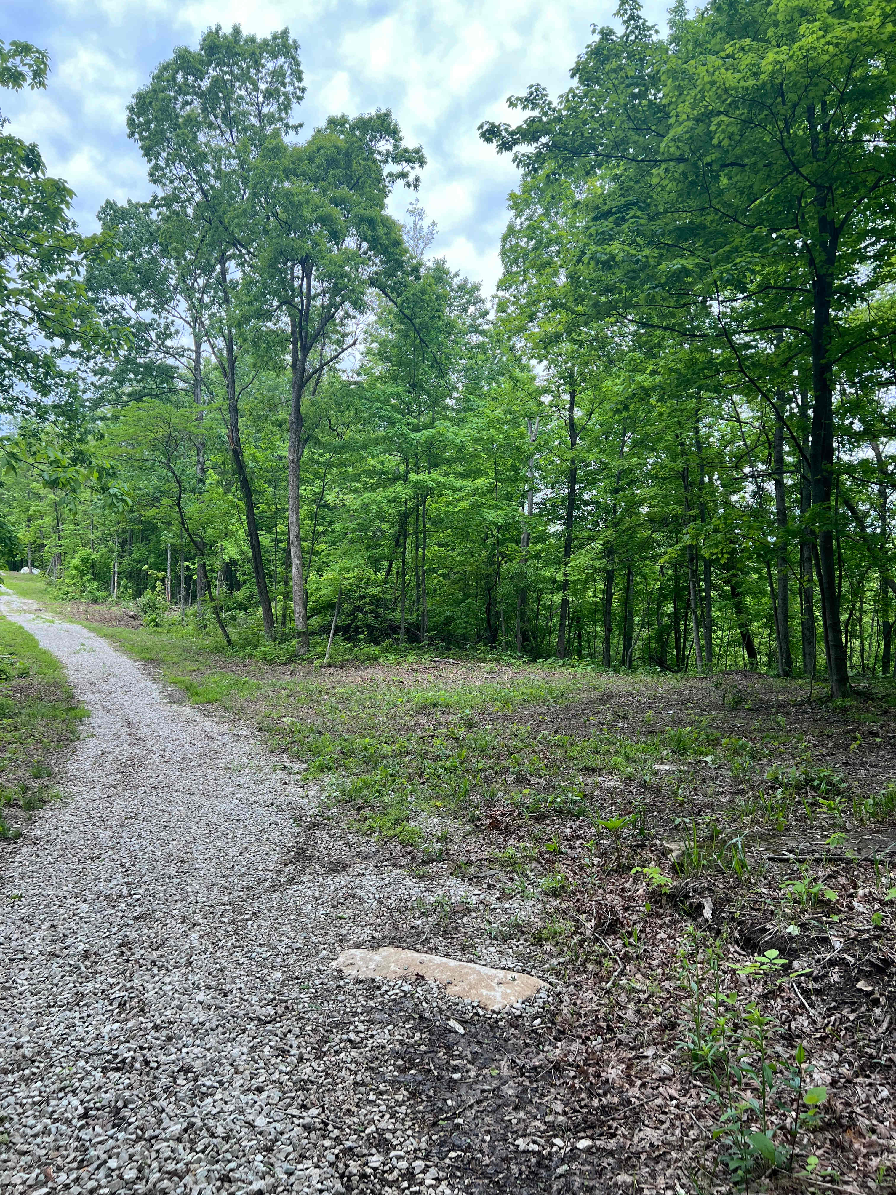Furnace mountain primitive camping