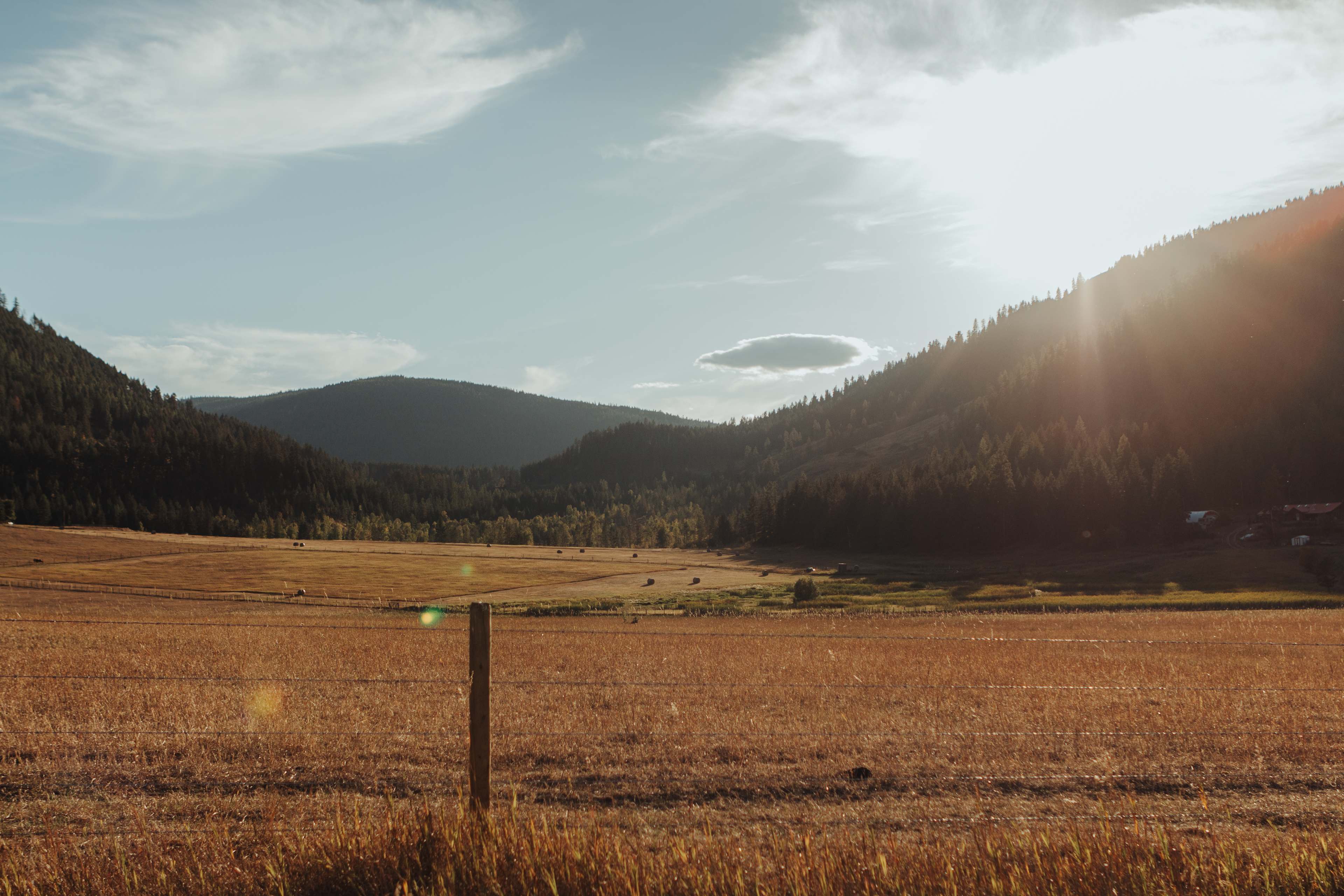 4D Creek Ranch