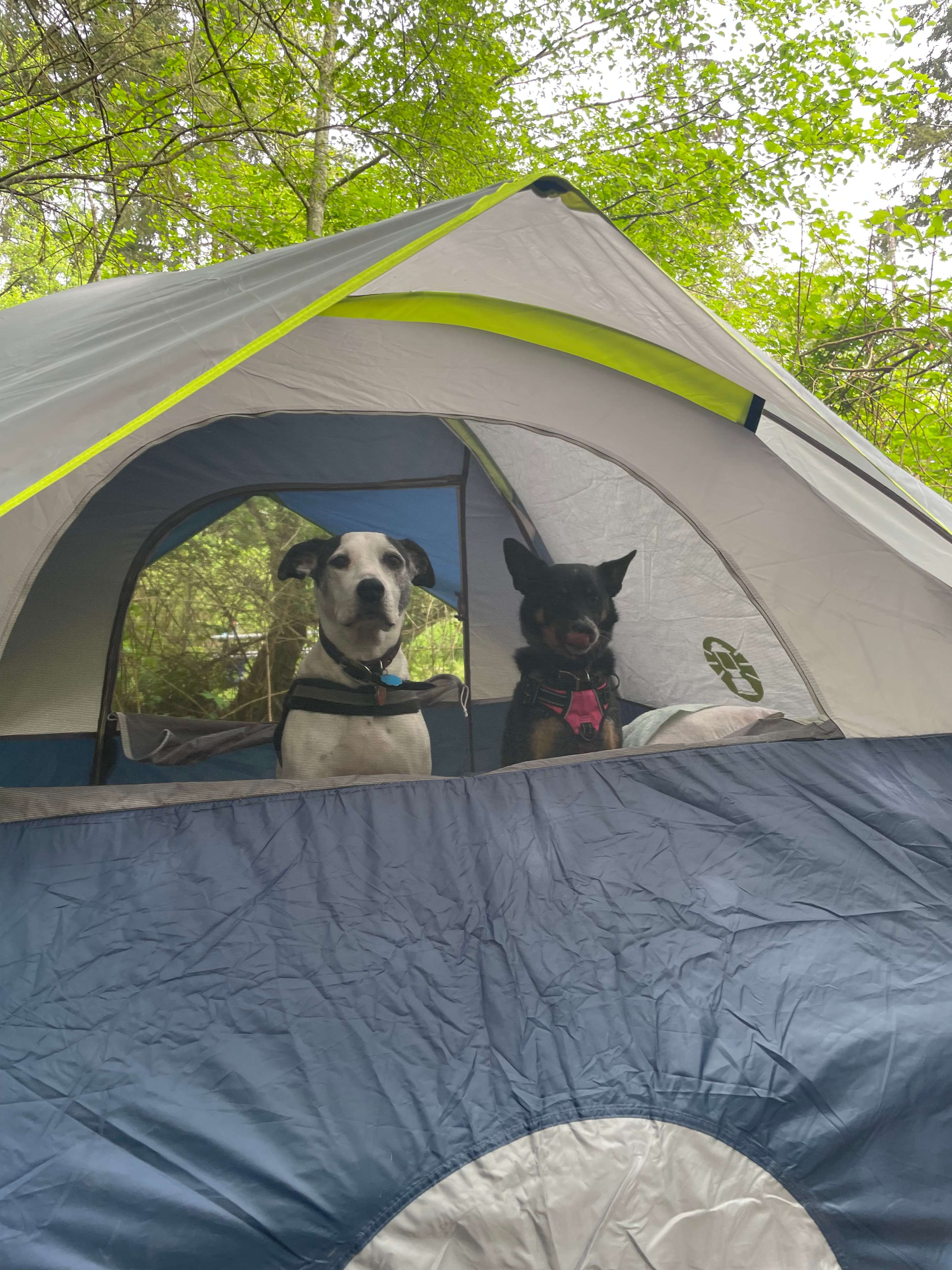 Hoypus Point Camp