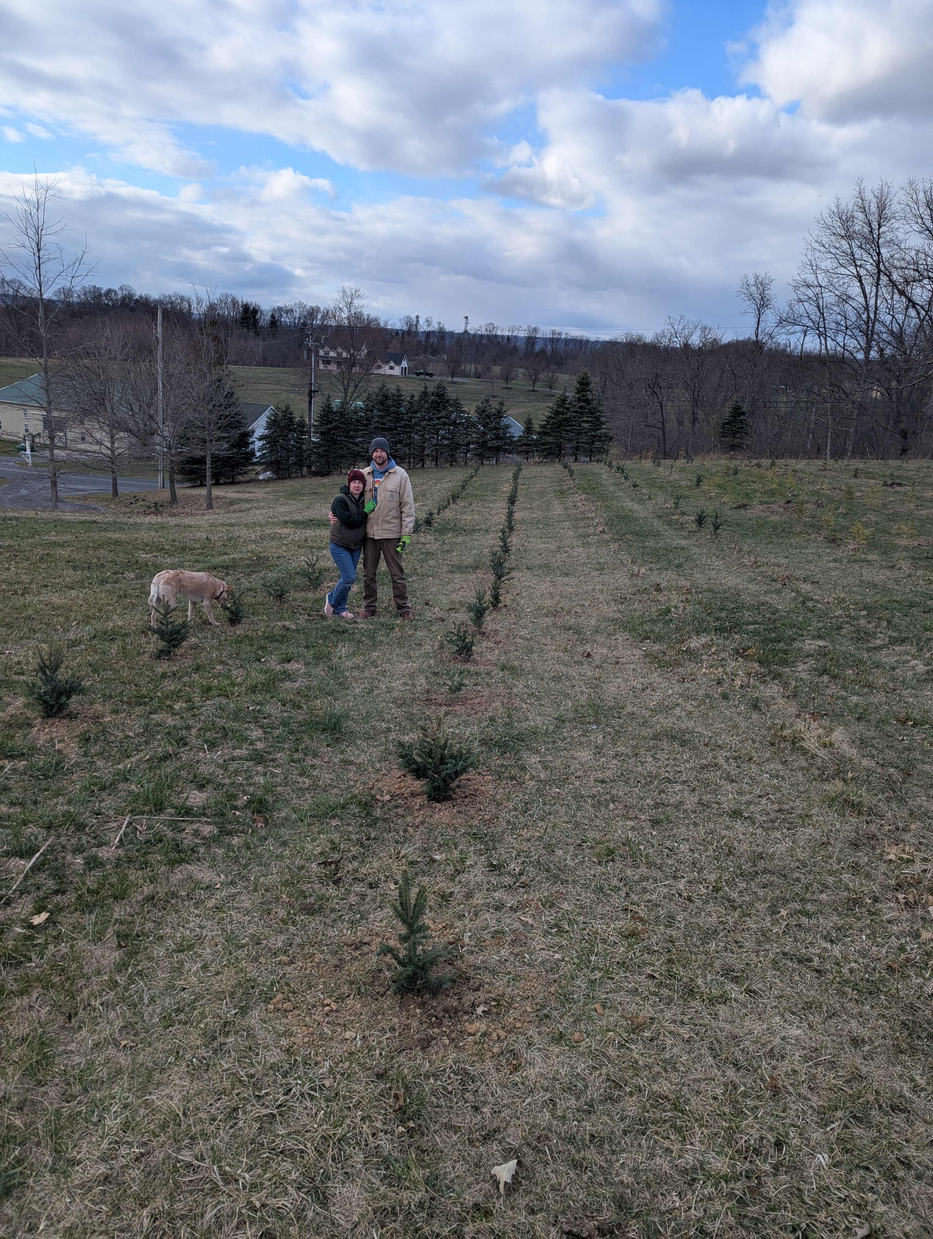 Hickory Hollow Farm And Nursery