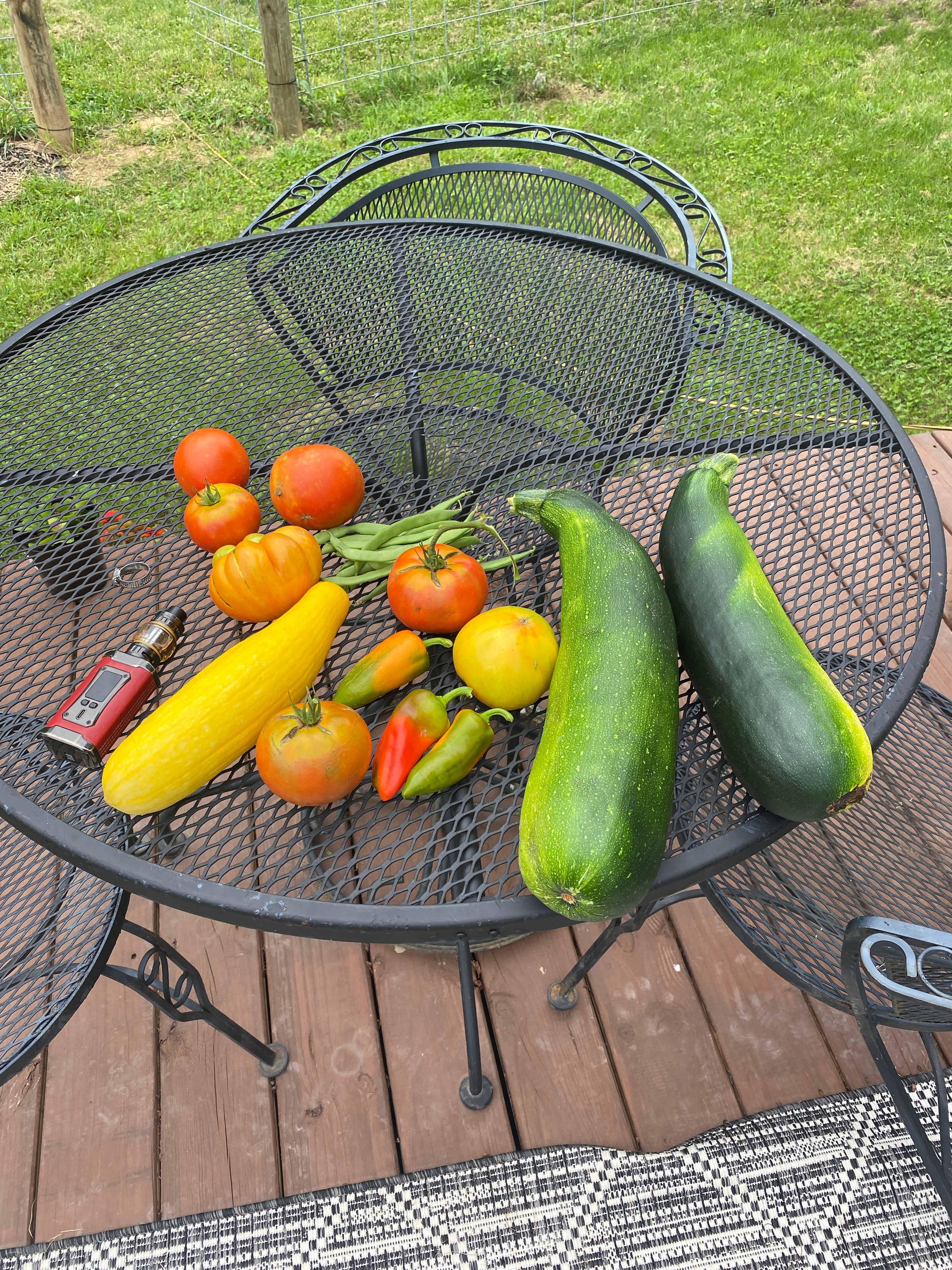 Fresh vegetables from the garden