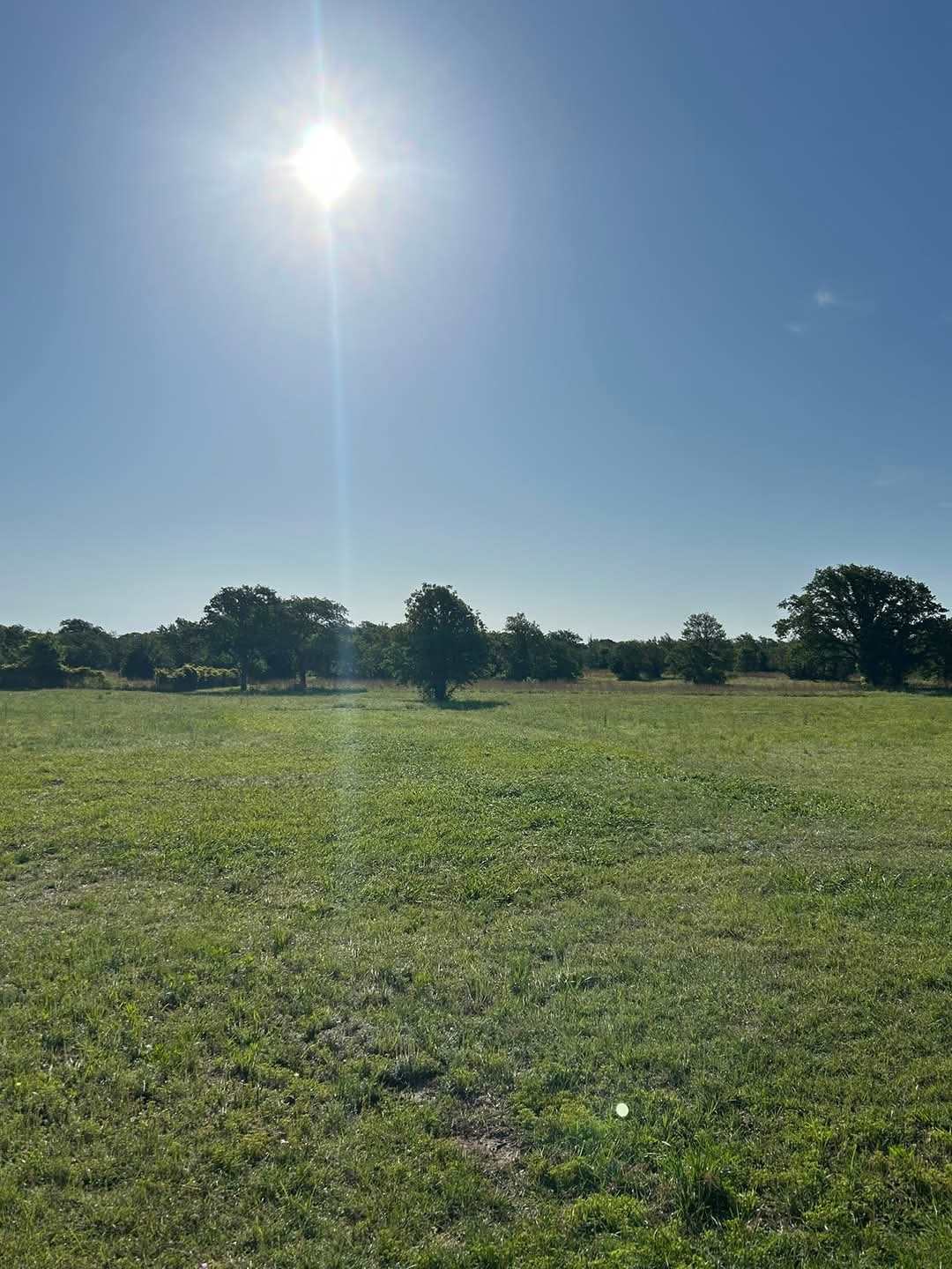 Iron Pear Acres