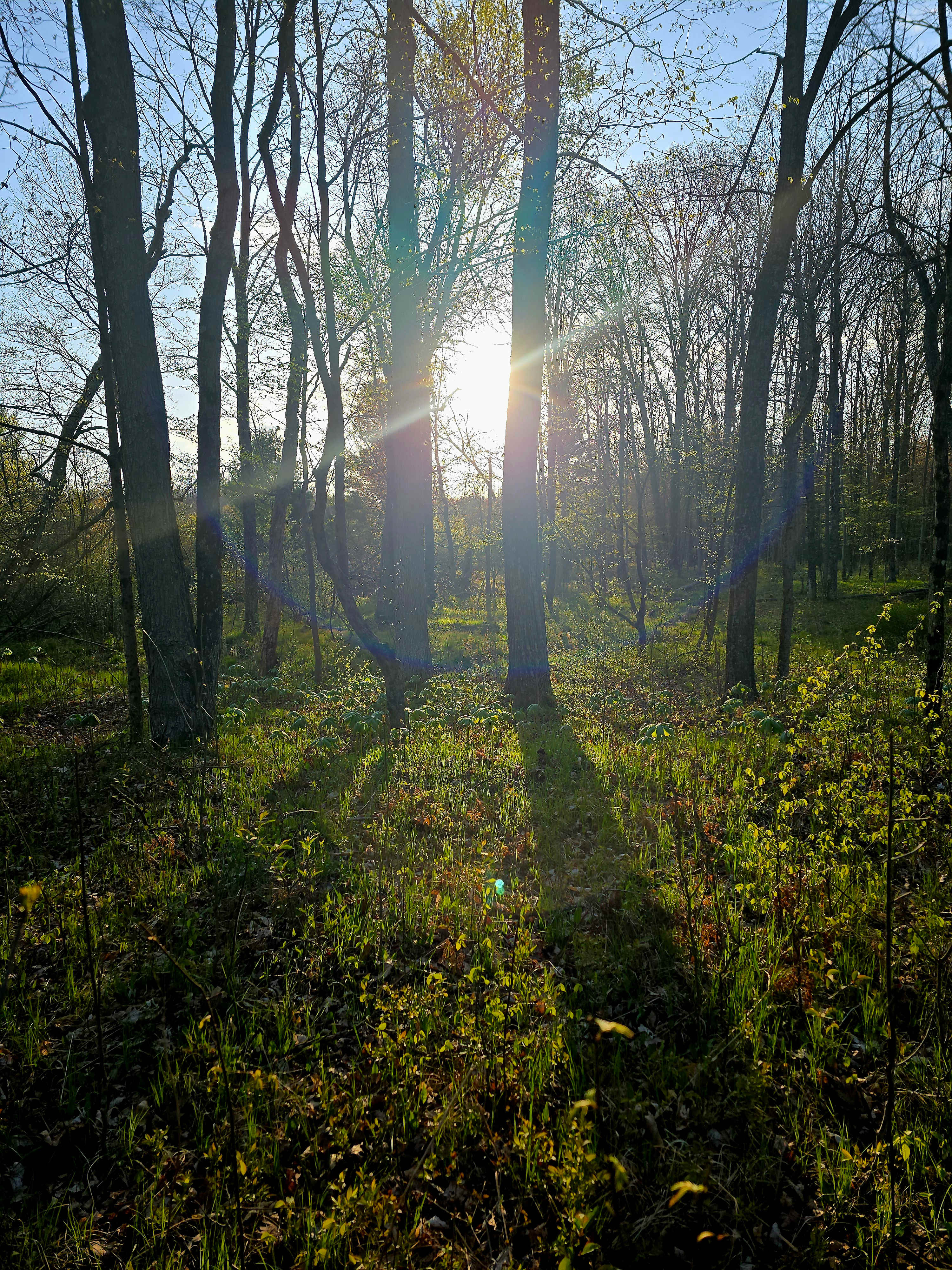 Sunrise in our tent site