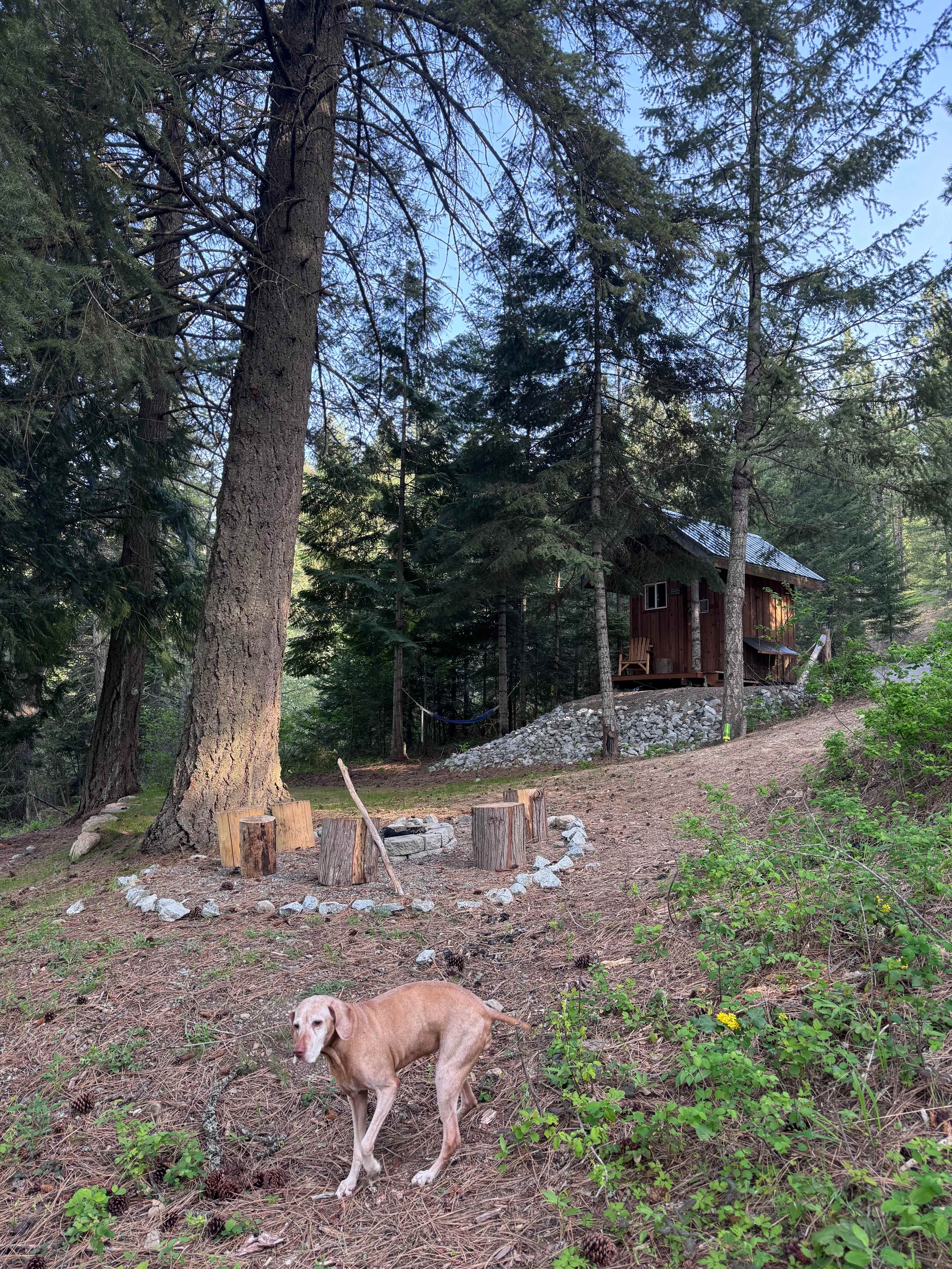 Paradise on Mirror Lake