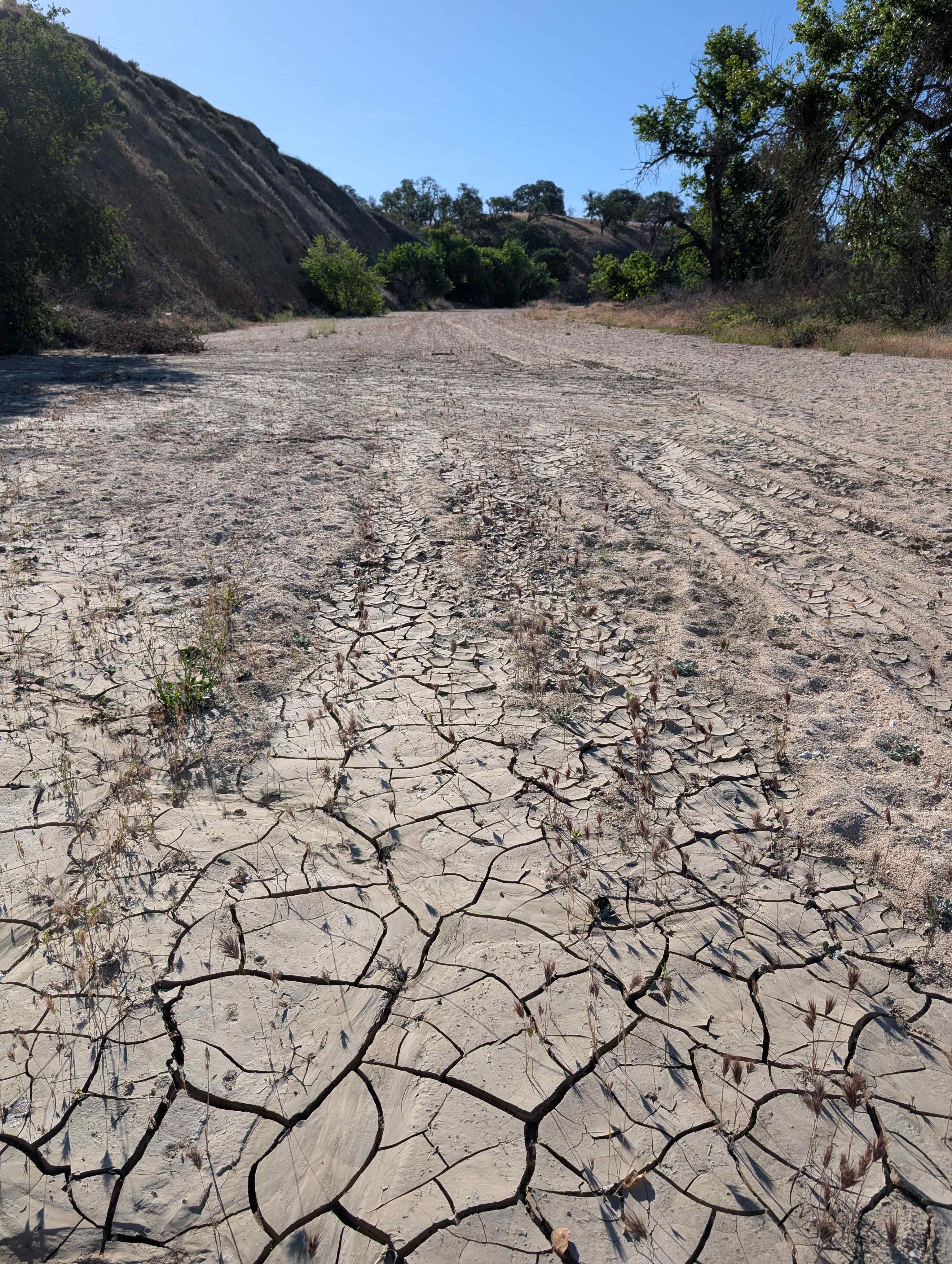Riverbed