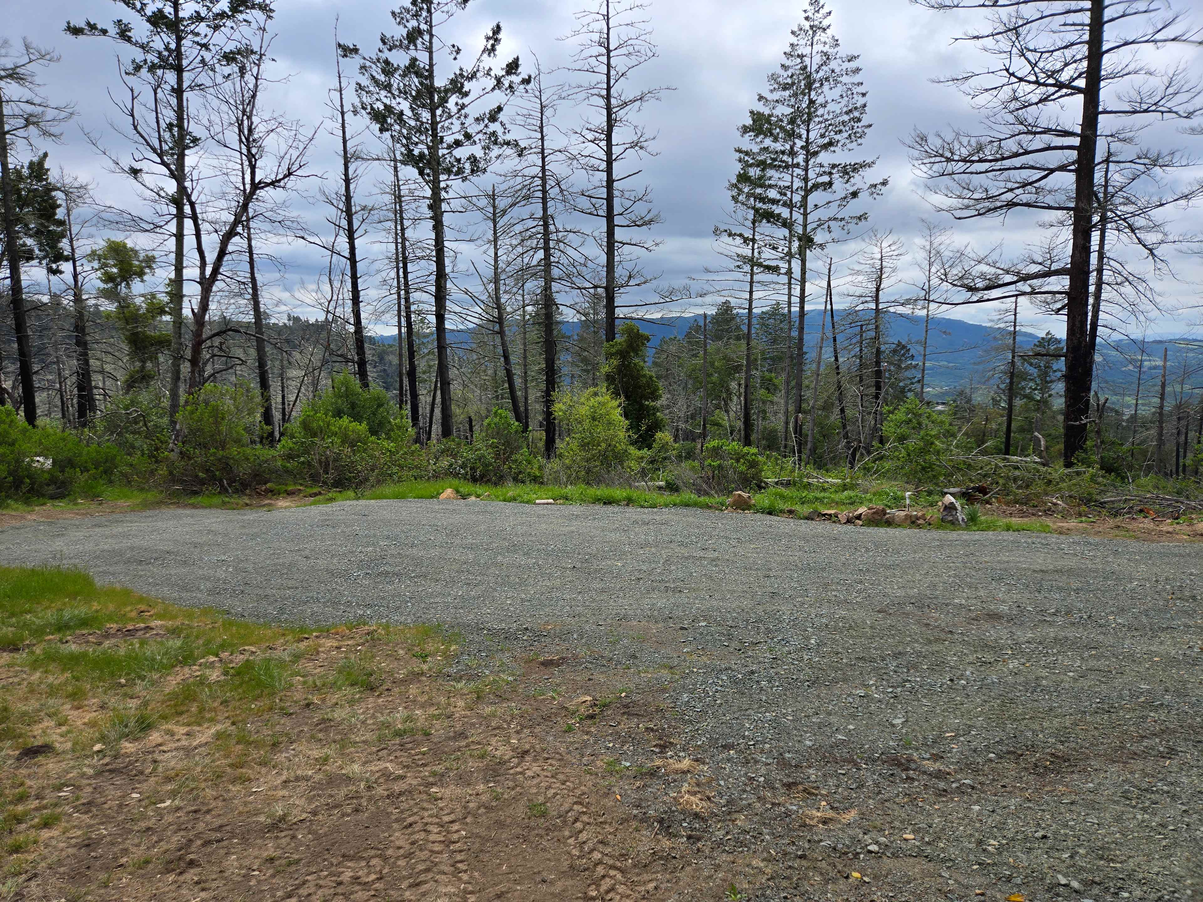 This is the site space.