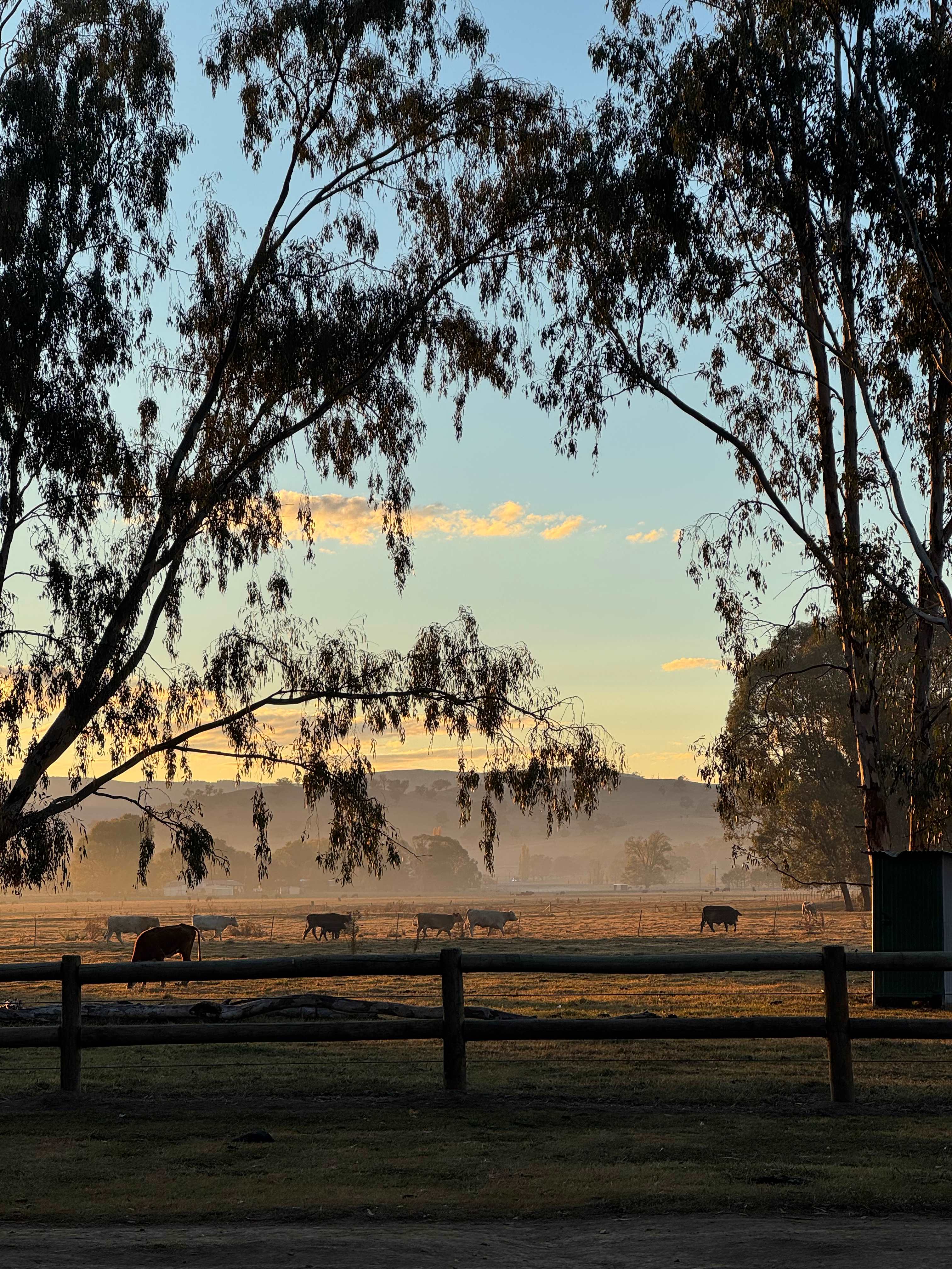 Bahwidgee on Tumut River