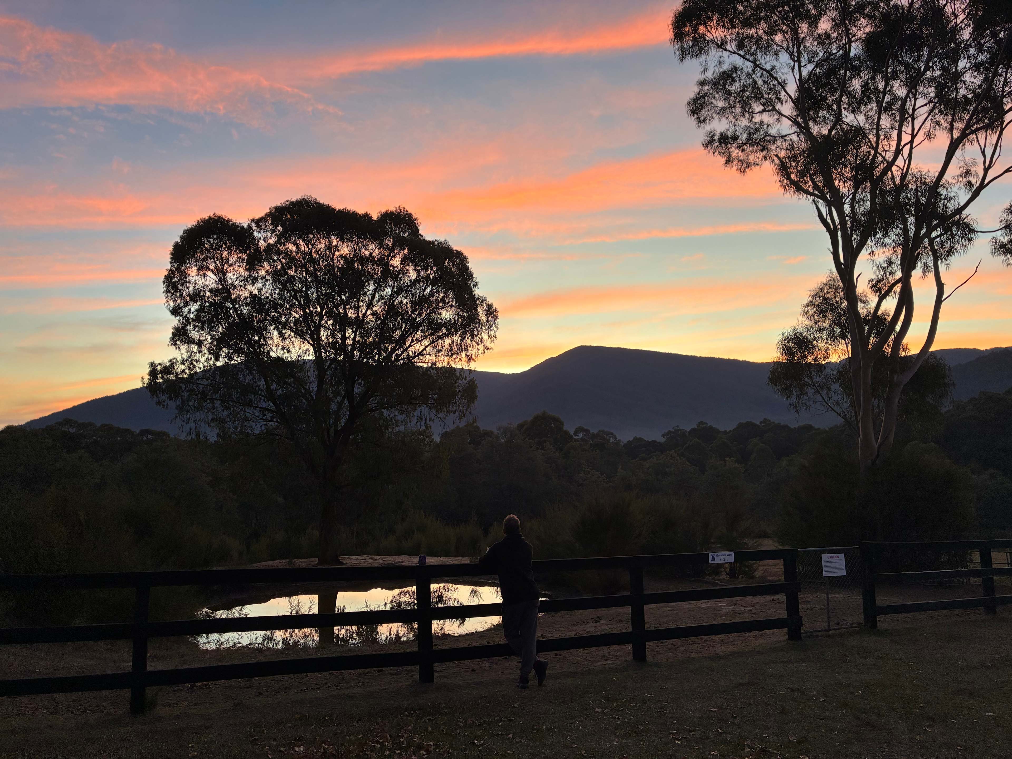 Iron Brook Donkey Farm