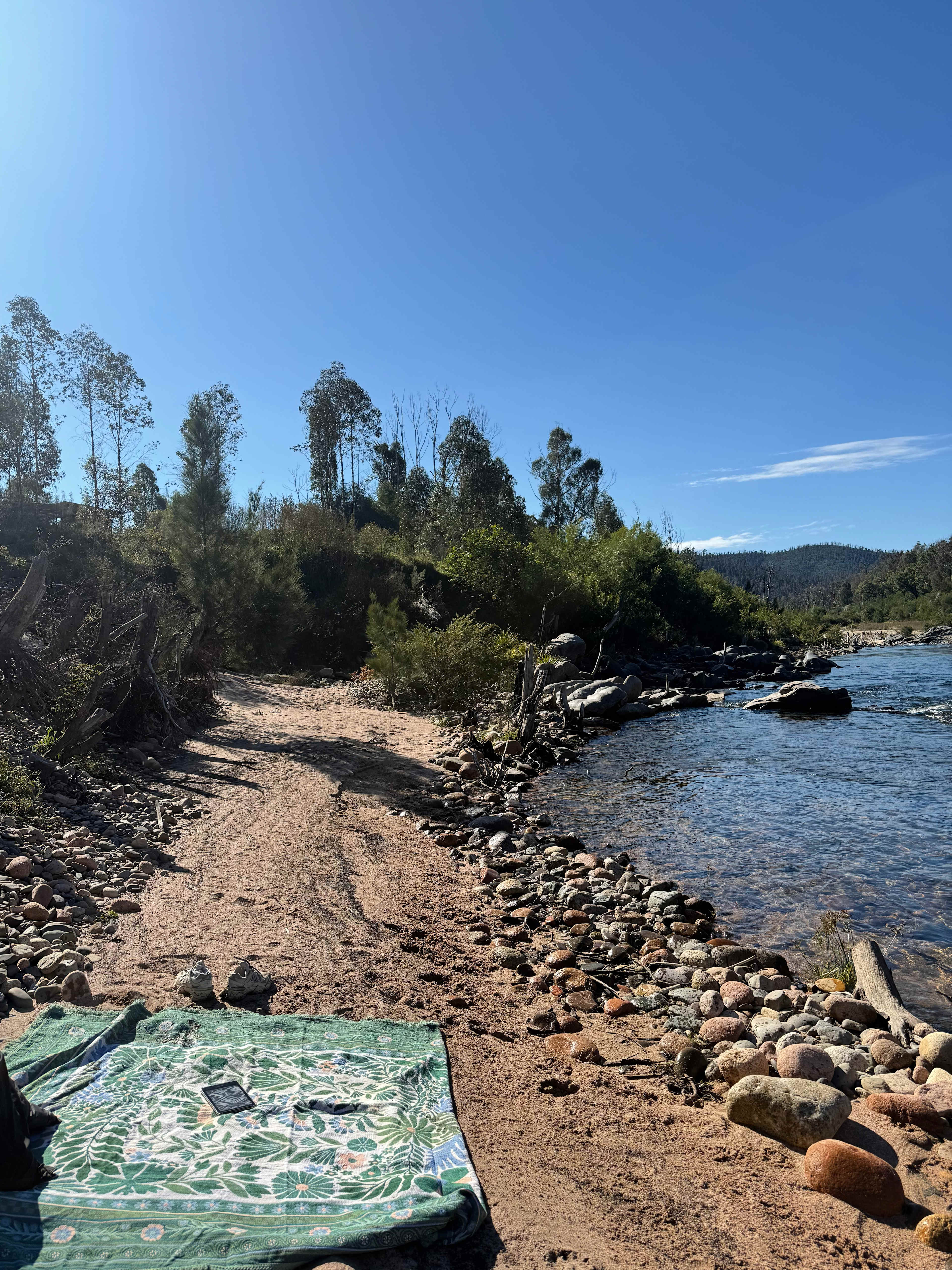Nerrigundah Tuross River Camping