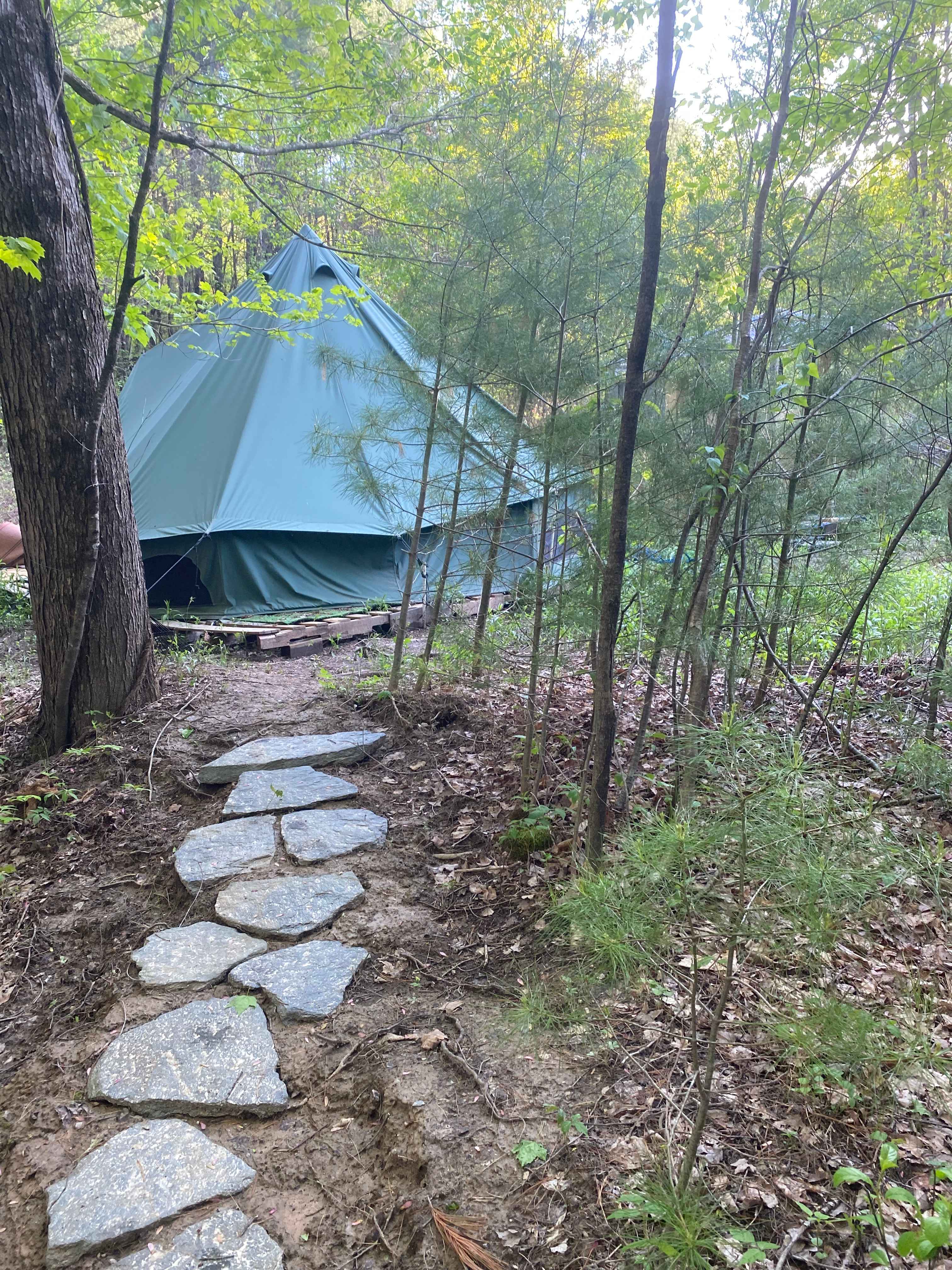 Picture of the site