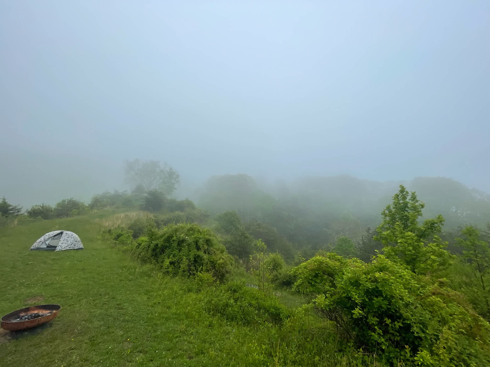 Mist in the morning
