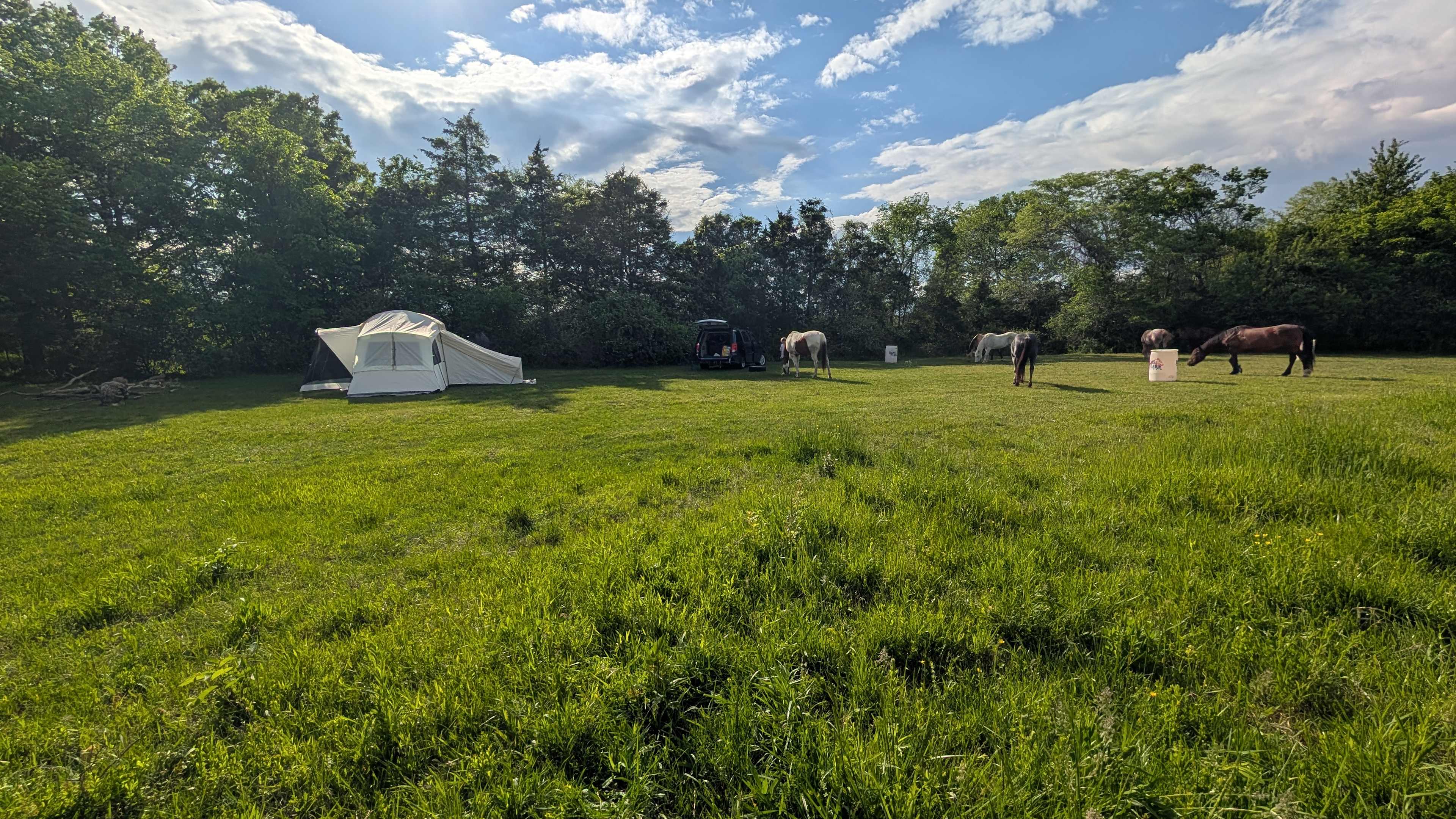 Hipcamp Bossmareranch and horse par