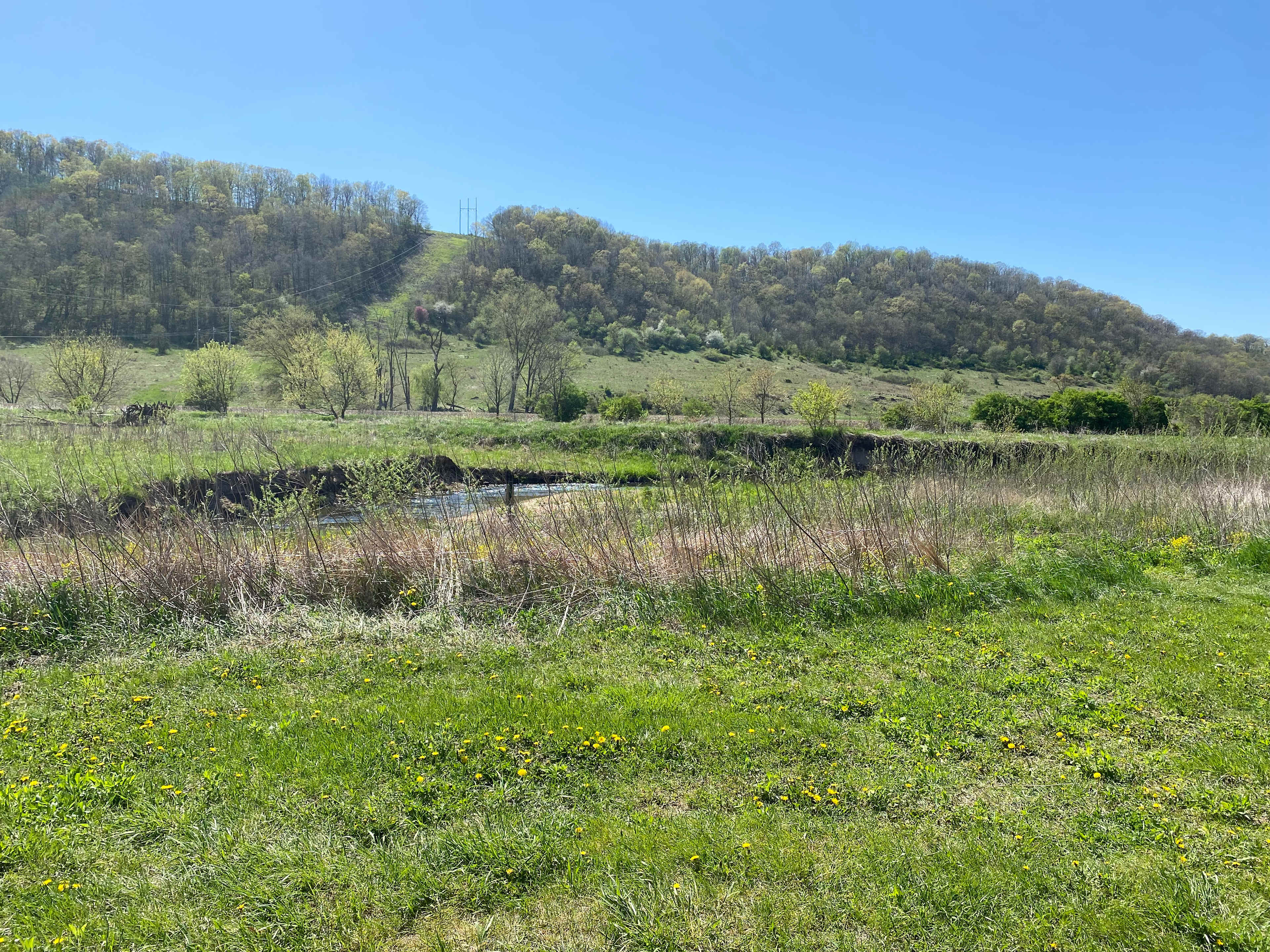 West Fork Sports Club