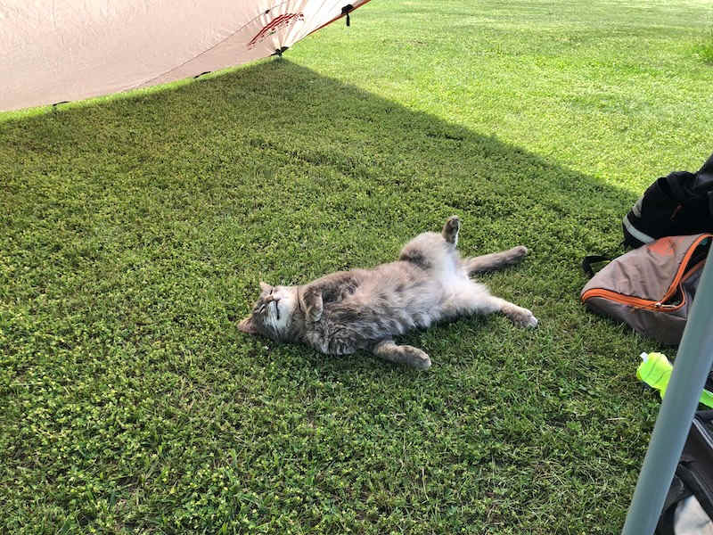 "I'm sorry, but is this your spot?"