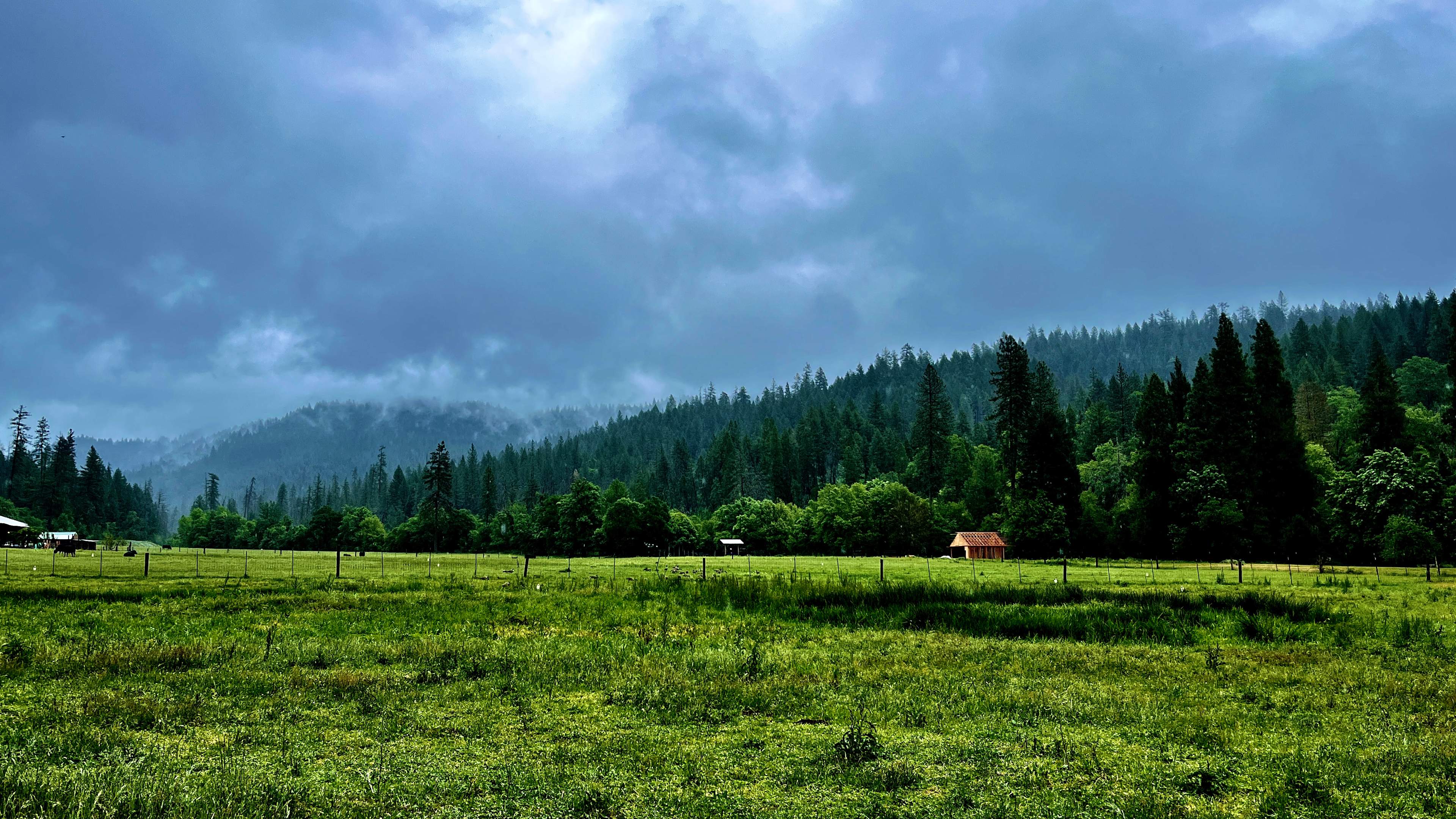 The morning I left everything was so green and vivid because of the rain.