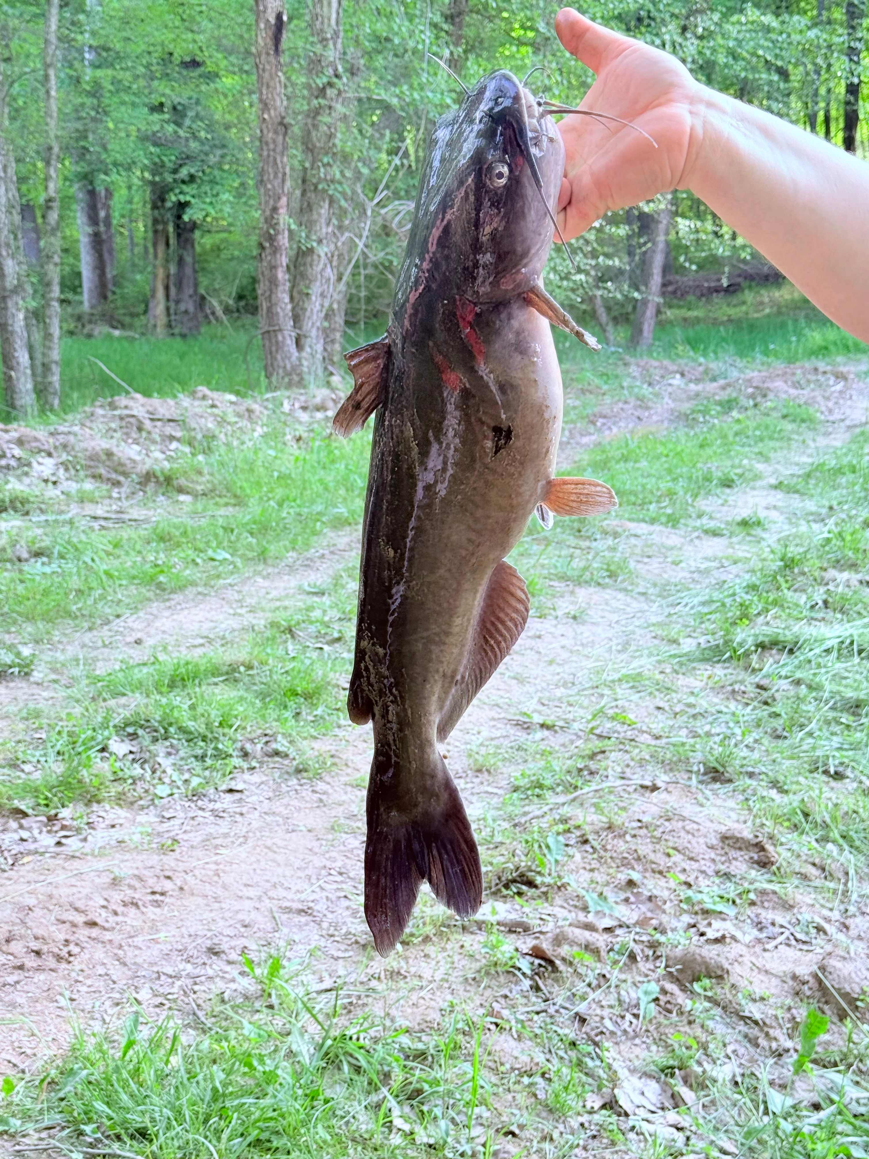Buck Run RV Retreat