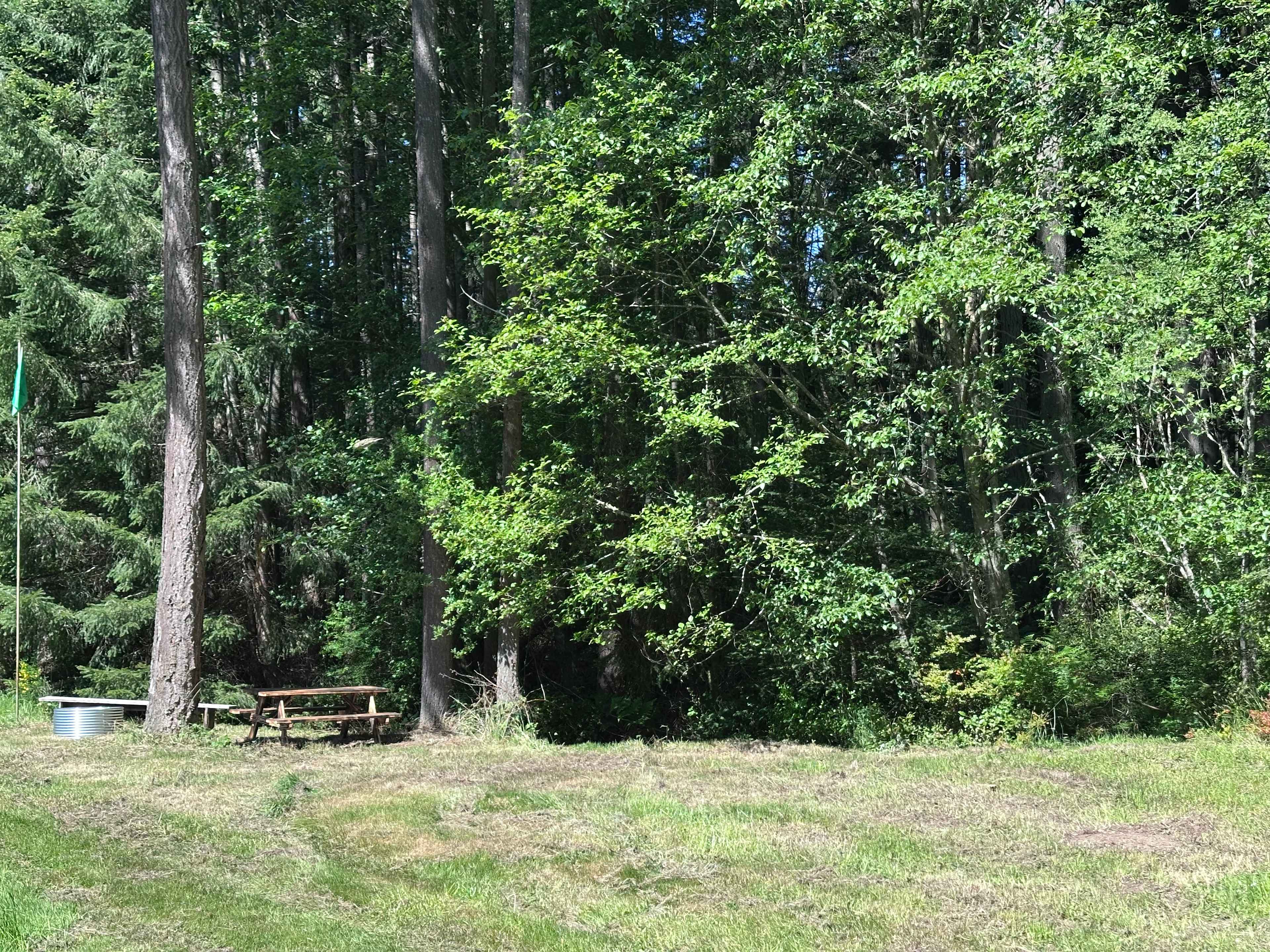 Wild Hearts on Whidbey