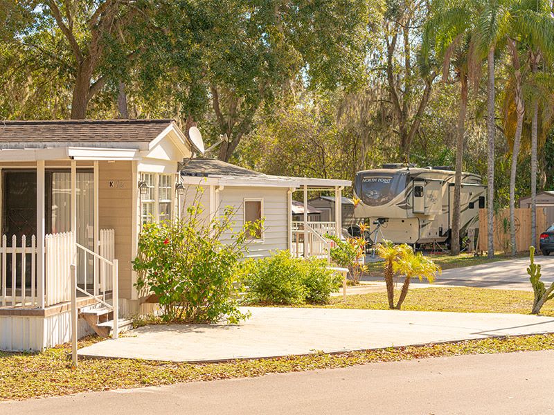 Tampa East