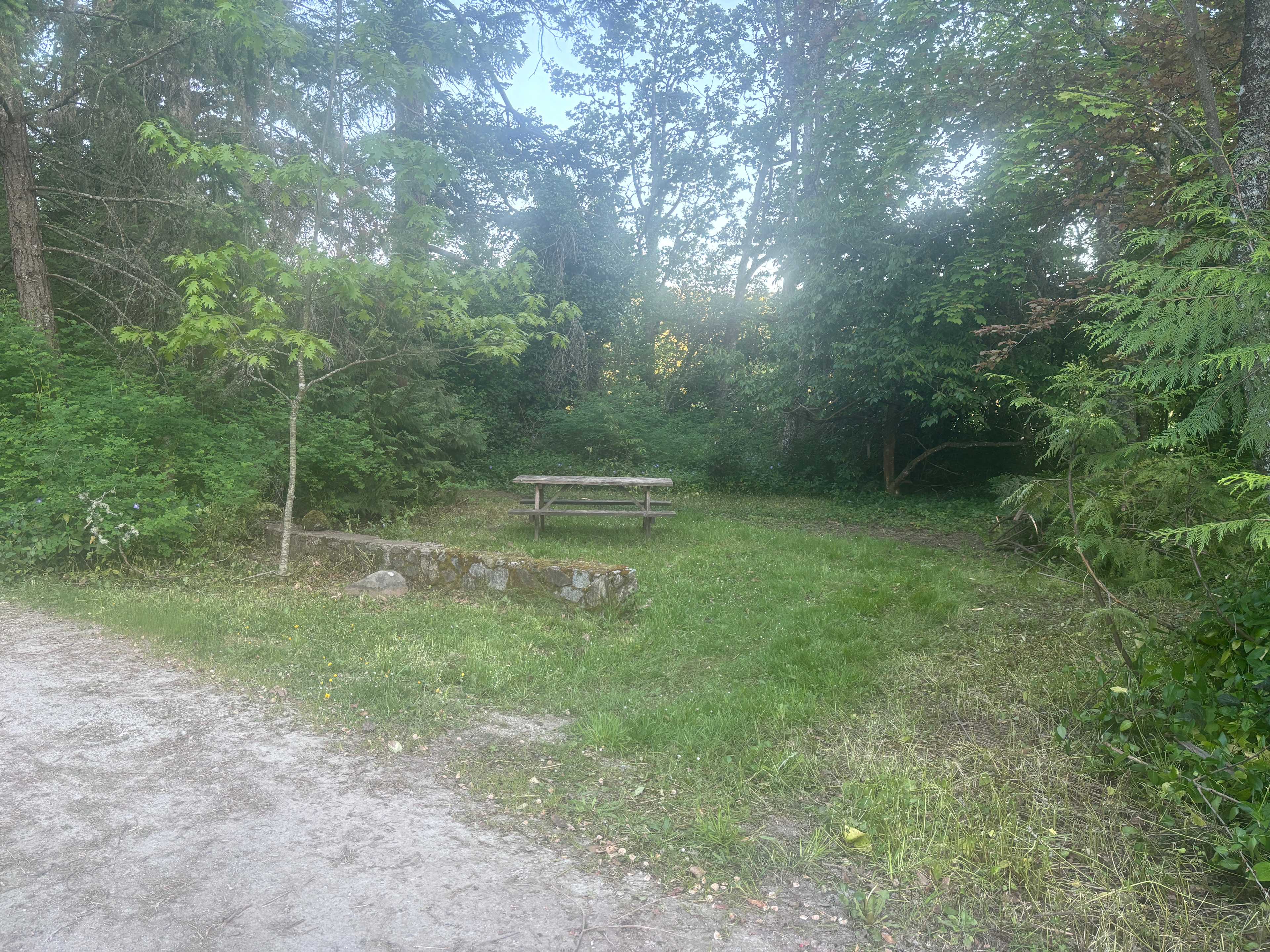 Car camping spot #1