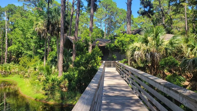 Hunting Island Campground