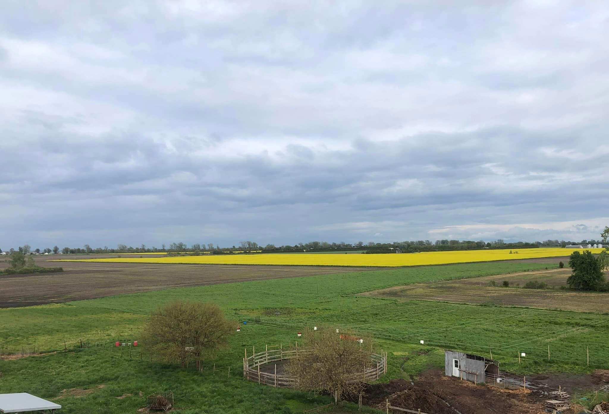 GSW Acres