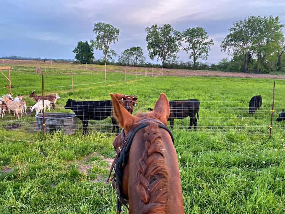 GSW Acres