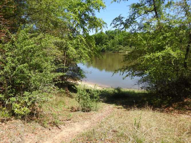Mystic Springs Cove Inc