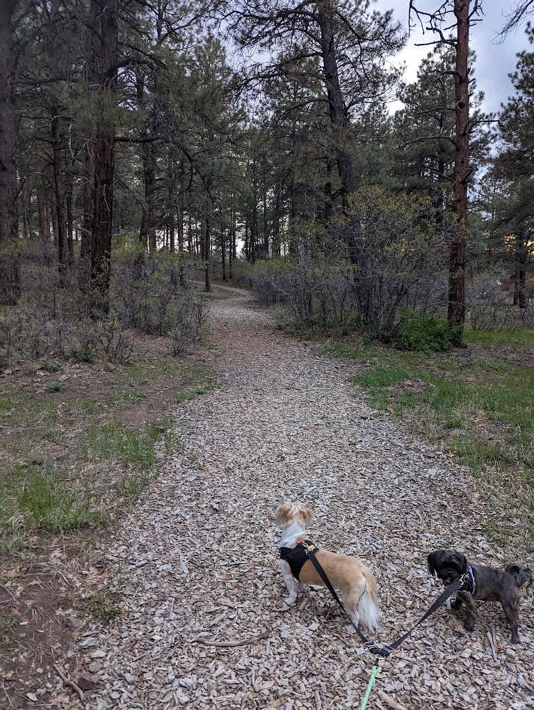 Pagosa Pines RV Park