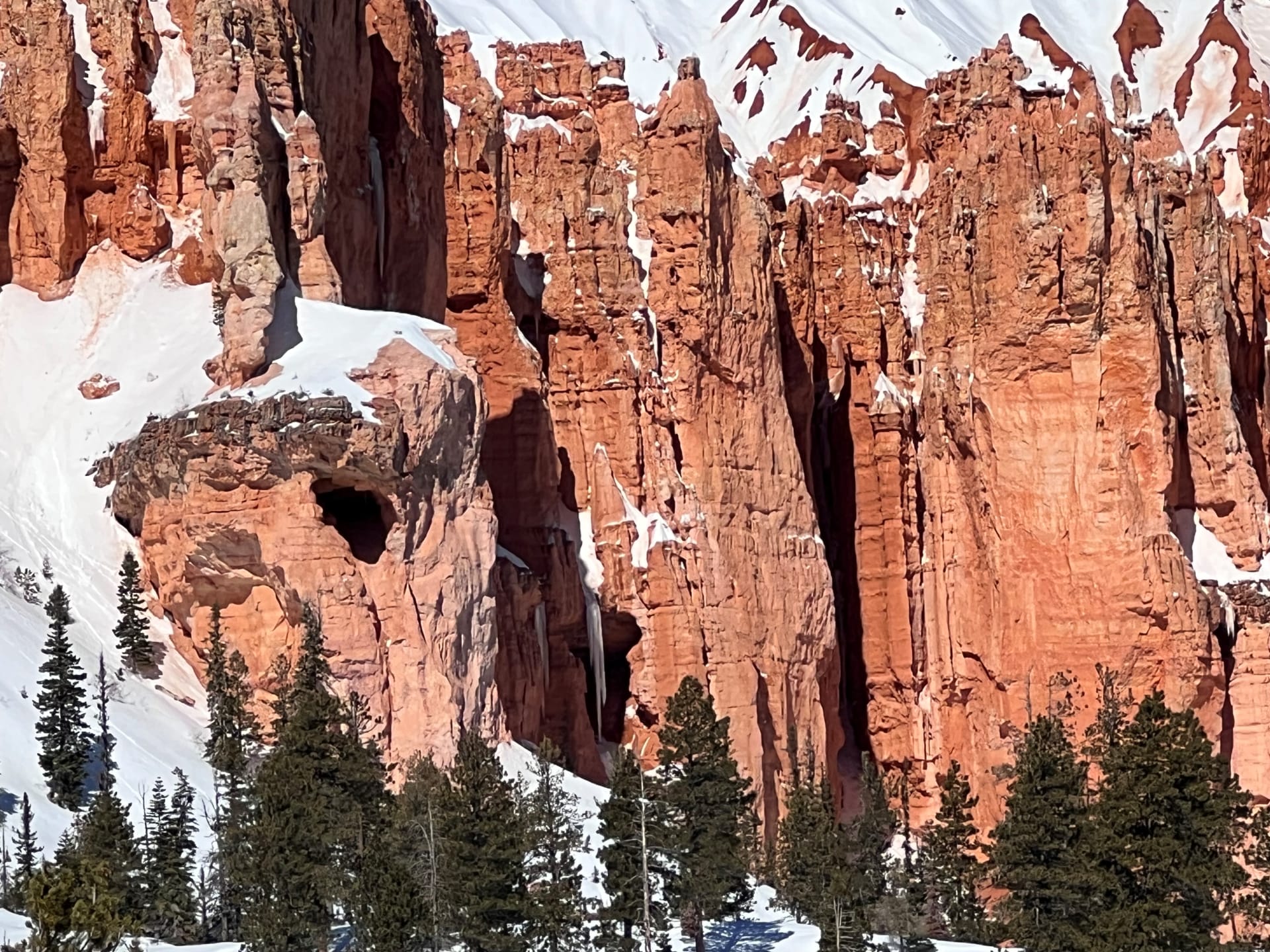 Deer Springs Ranch