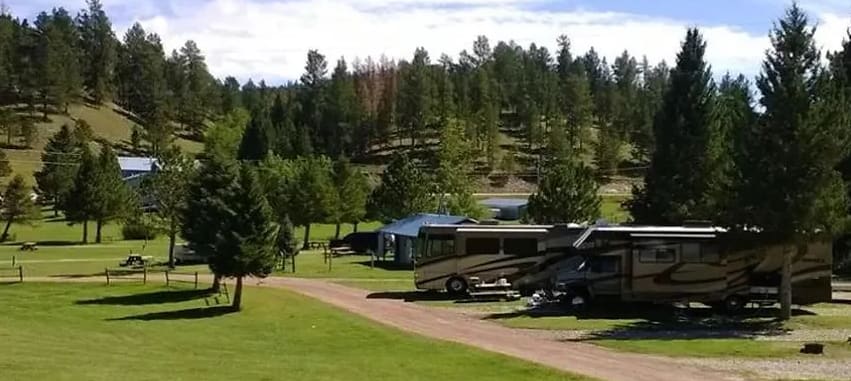 Mt Meadow