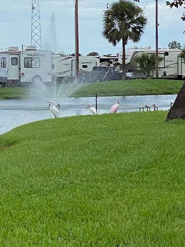 Galveston Bay RV Resort and Marina