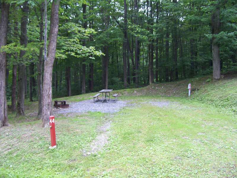 Curwensville Lake