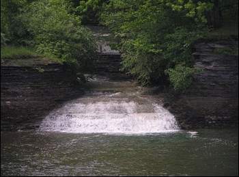 Brookside Beach Campground