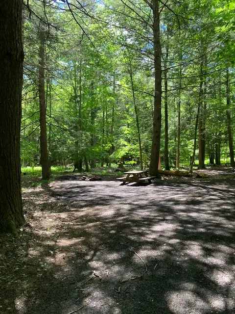 Falling Waters Campground home of Buttermilk Falls
