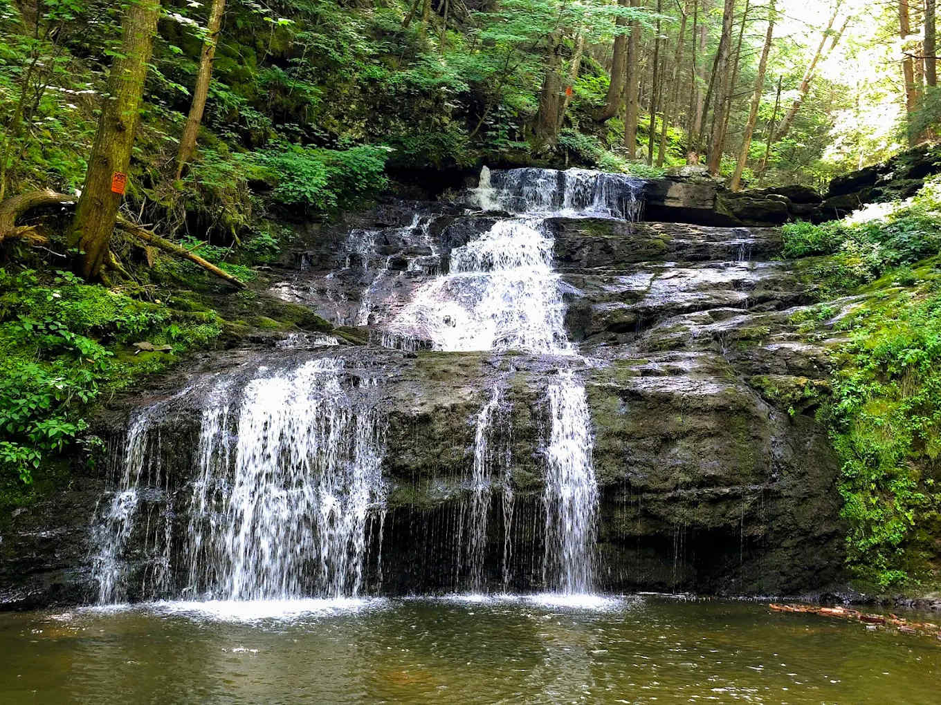 Falling Waters Campground home of Buttermilk Falls