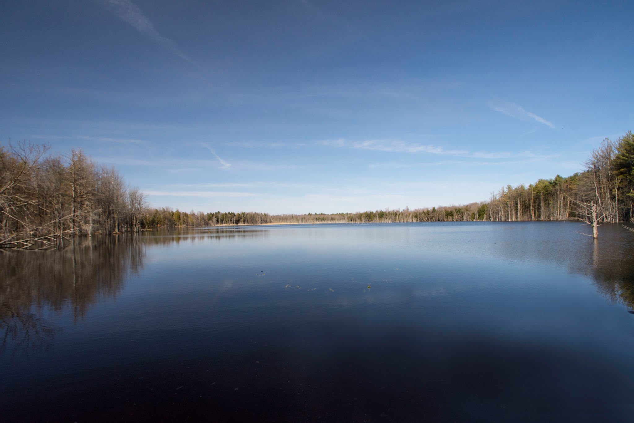Whispering Woods Campground