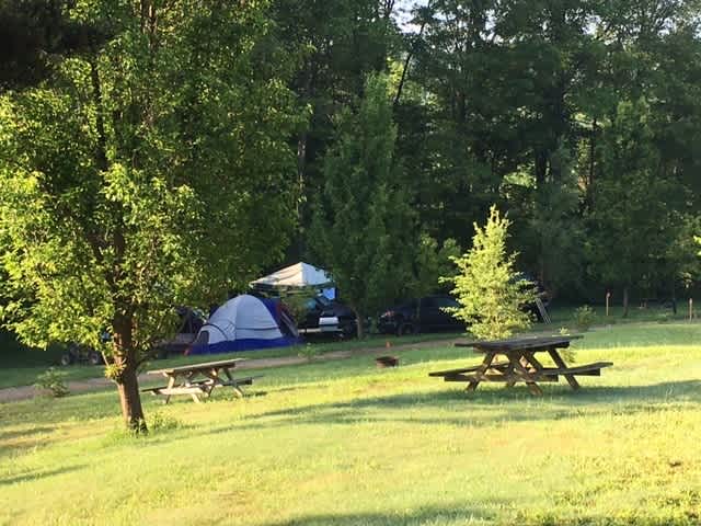 The Forest Lodge & Campground
