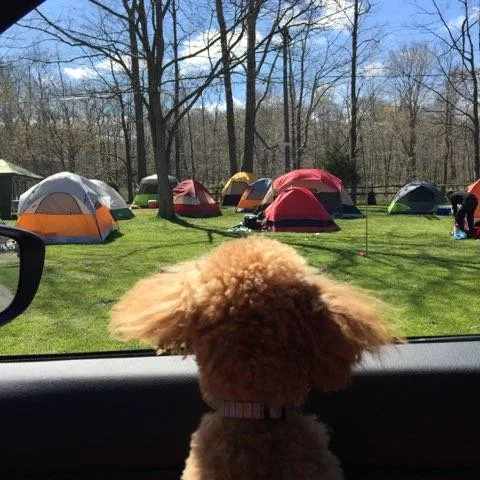 Uncle Johns Elk Creek Campground
