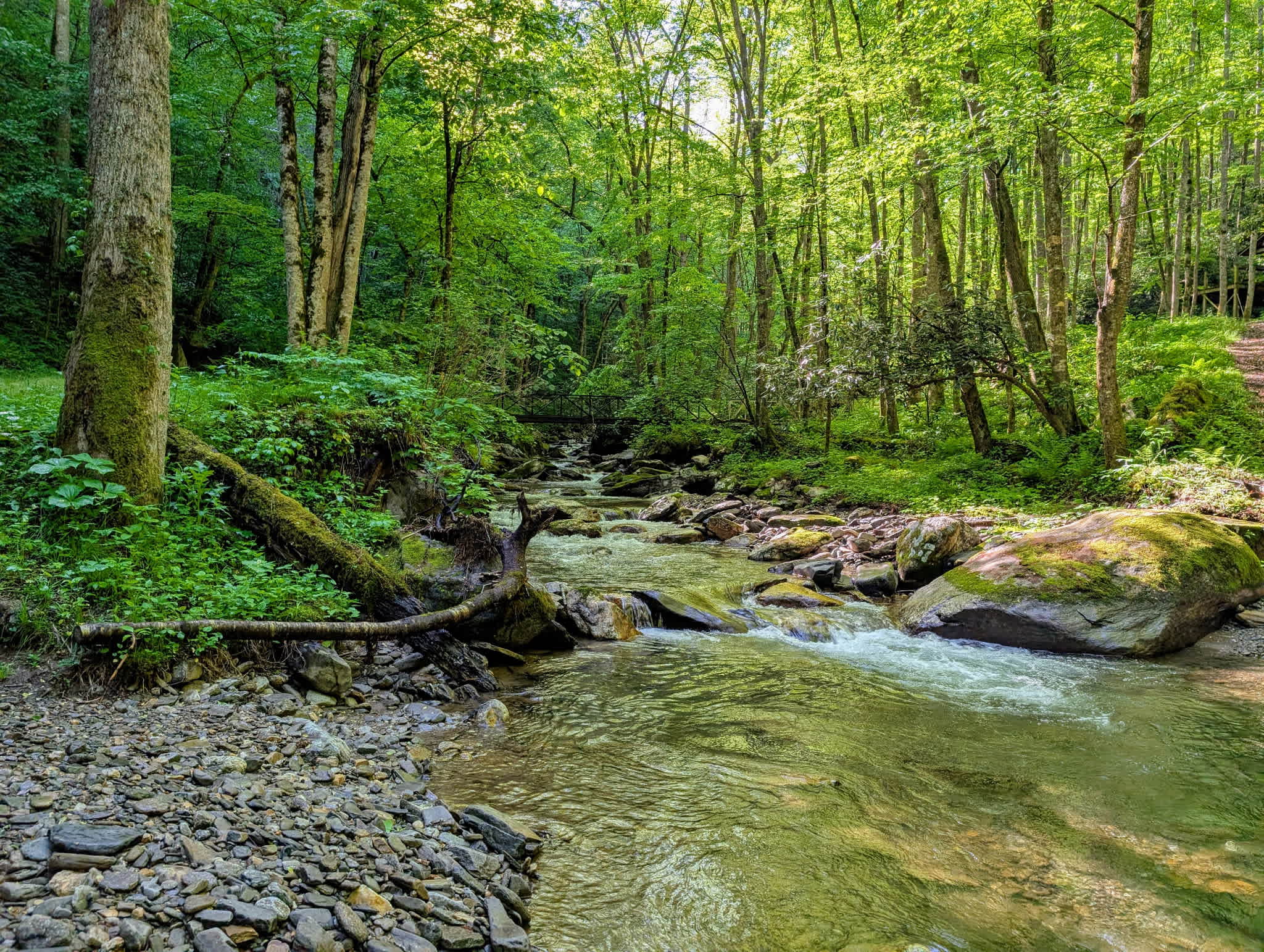 Indigo Eagle Sanctuary