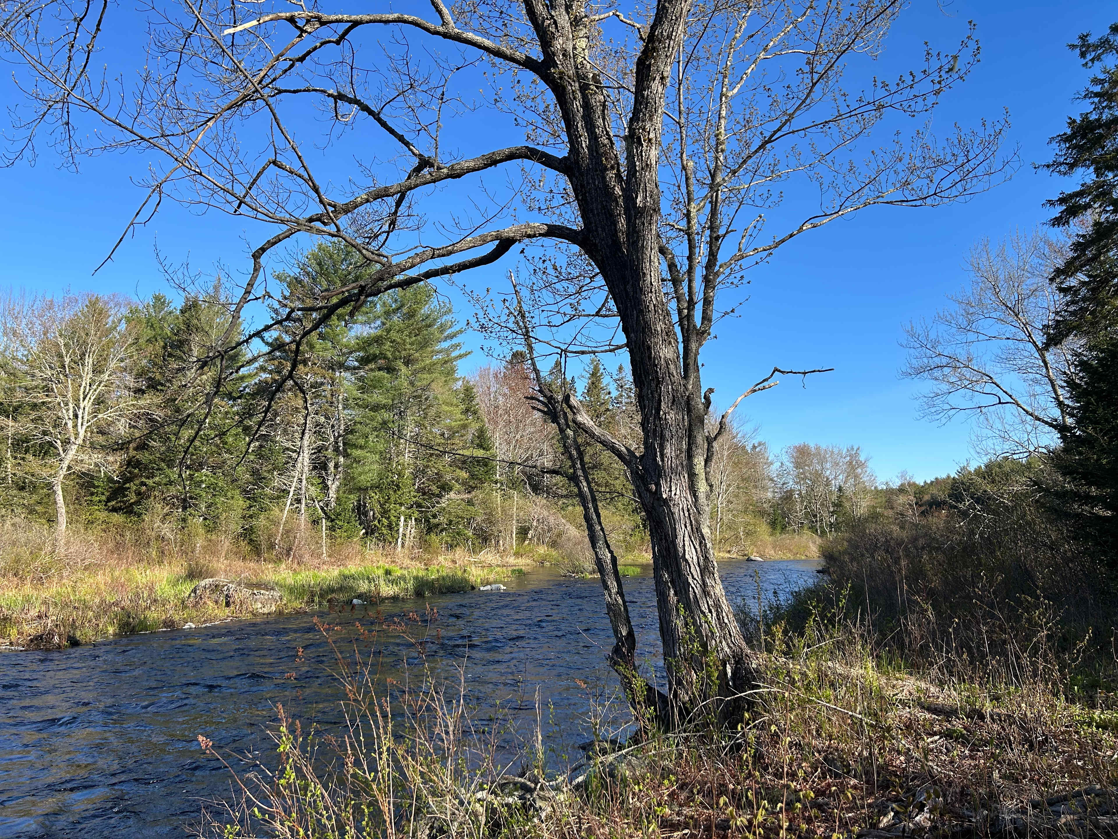 Graham Cracker Cabin and Campsites