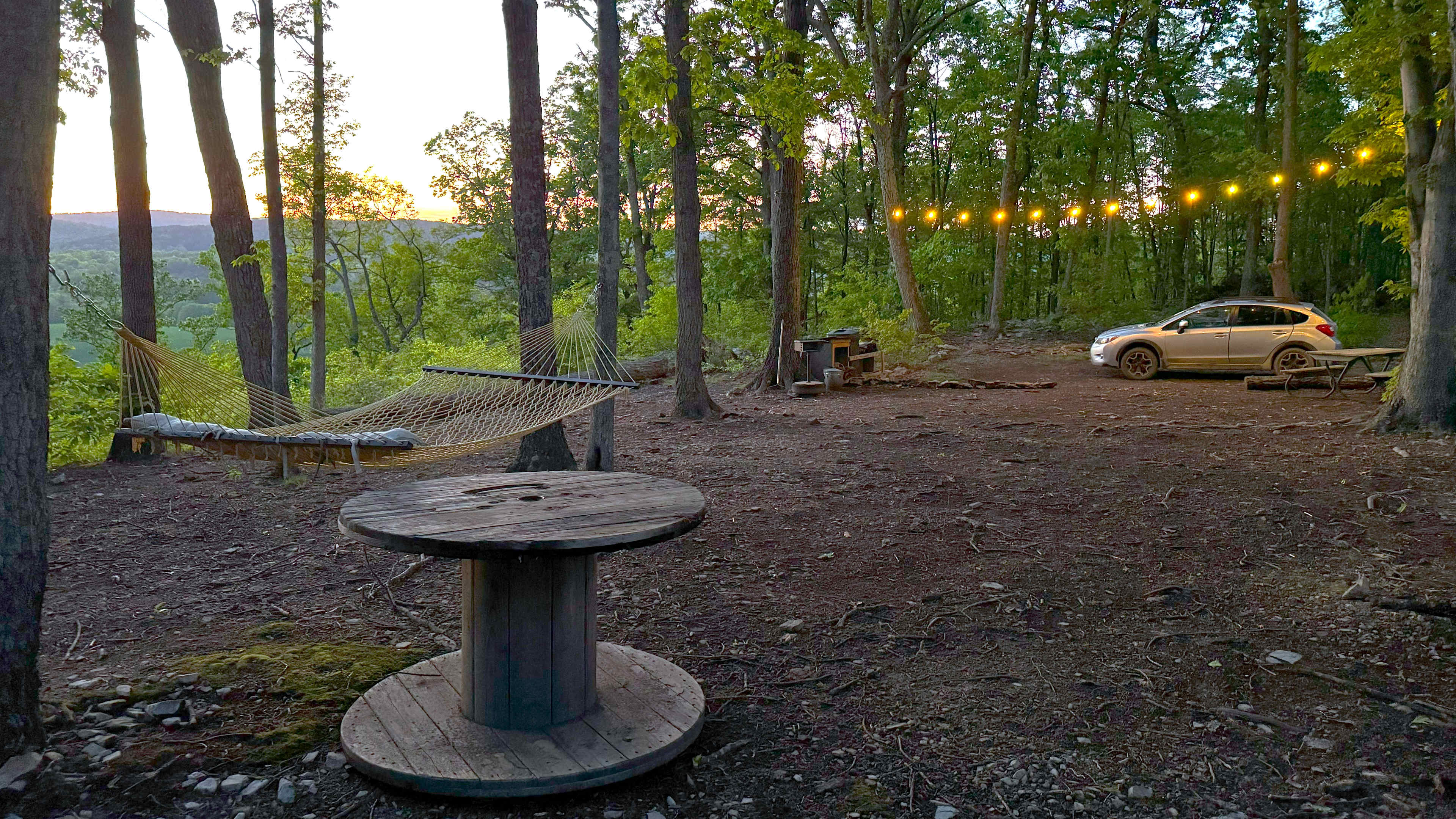Picture of the site