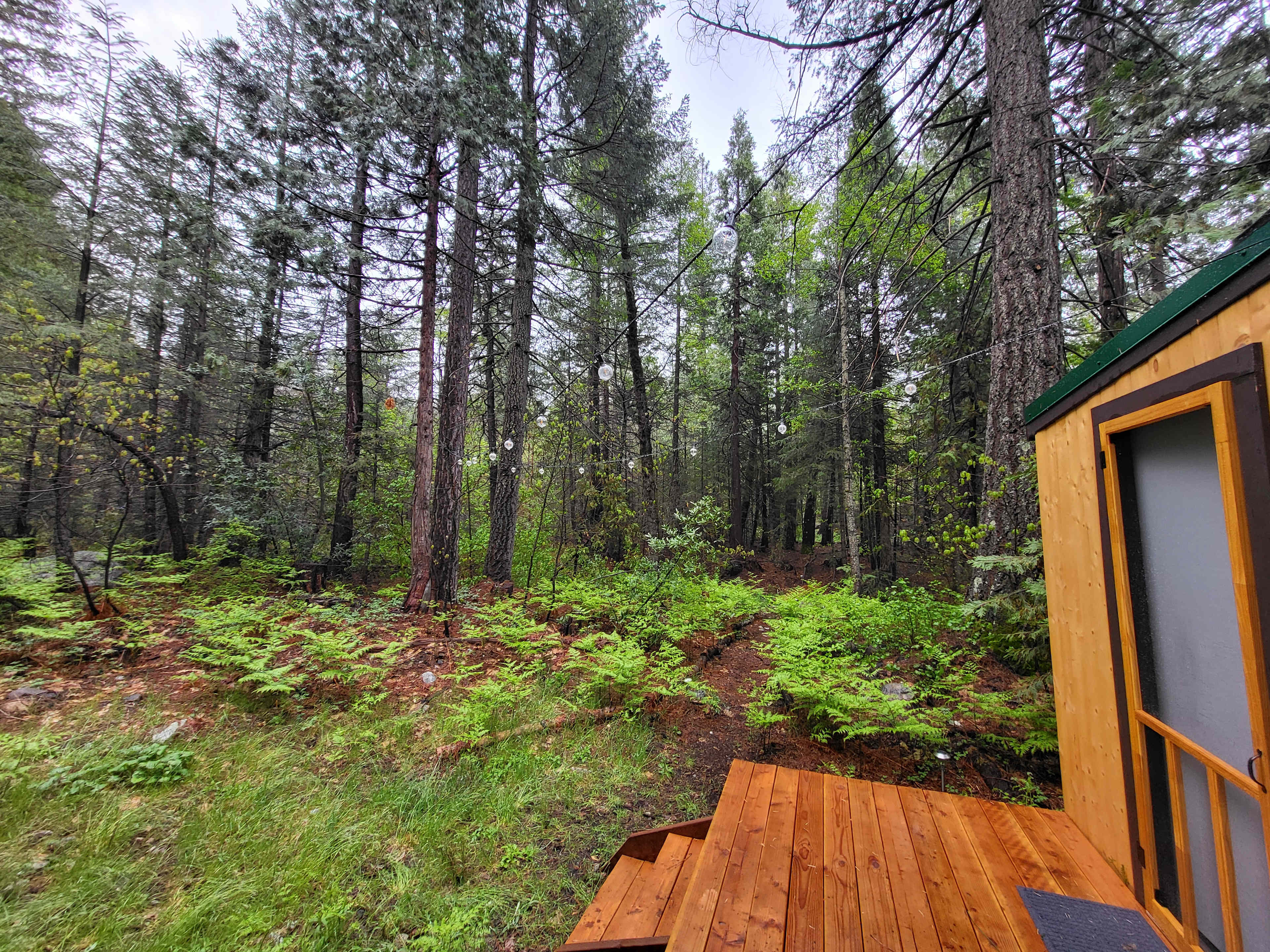 Bright Bear Camp in Tahoe NF