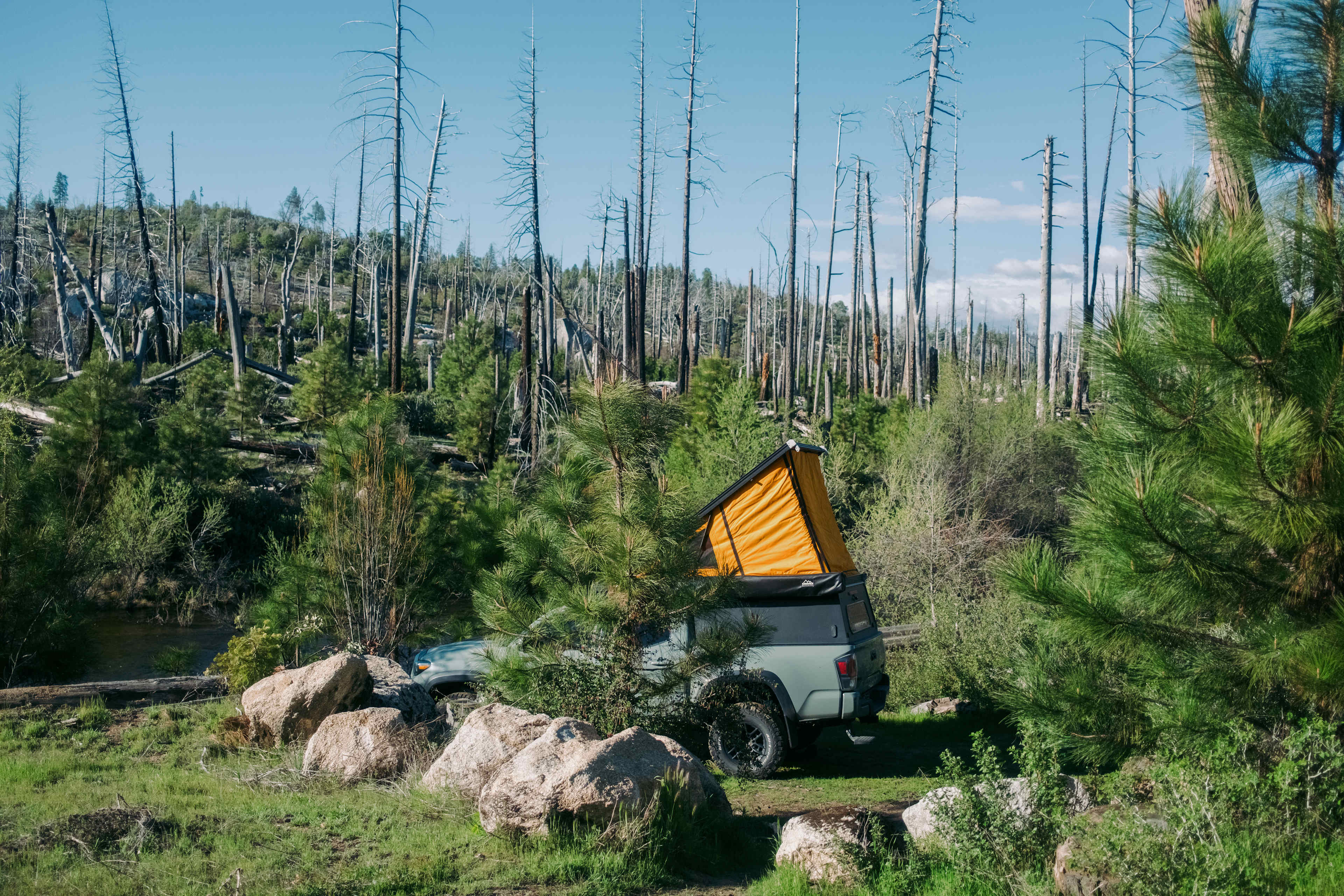 Camping on the Middle Fork of the Tuolumne River