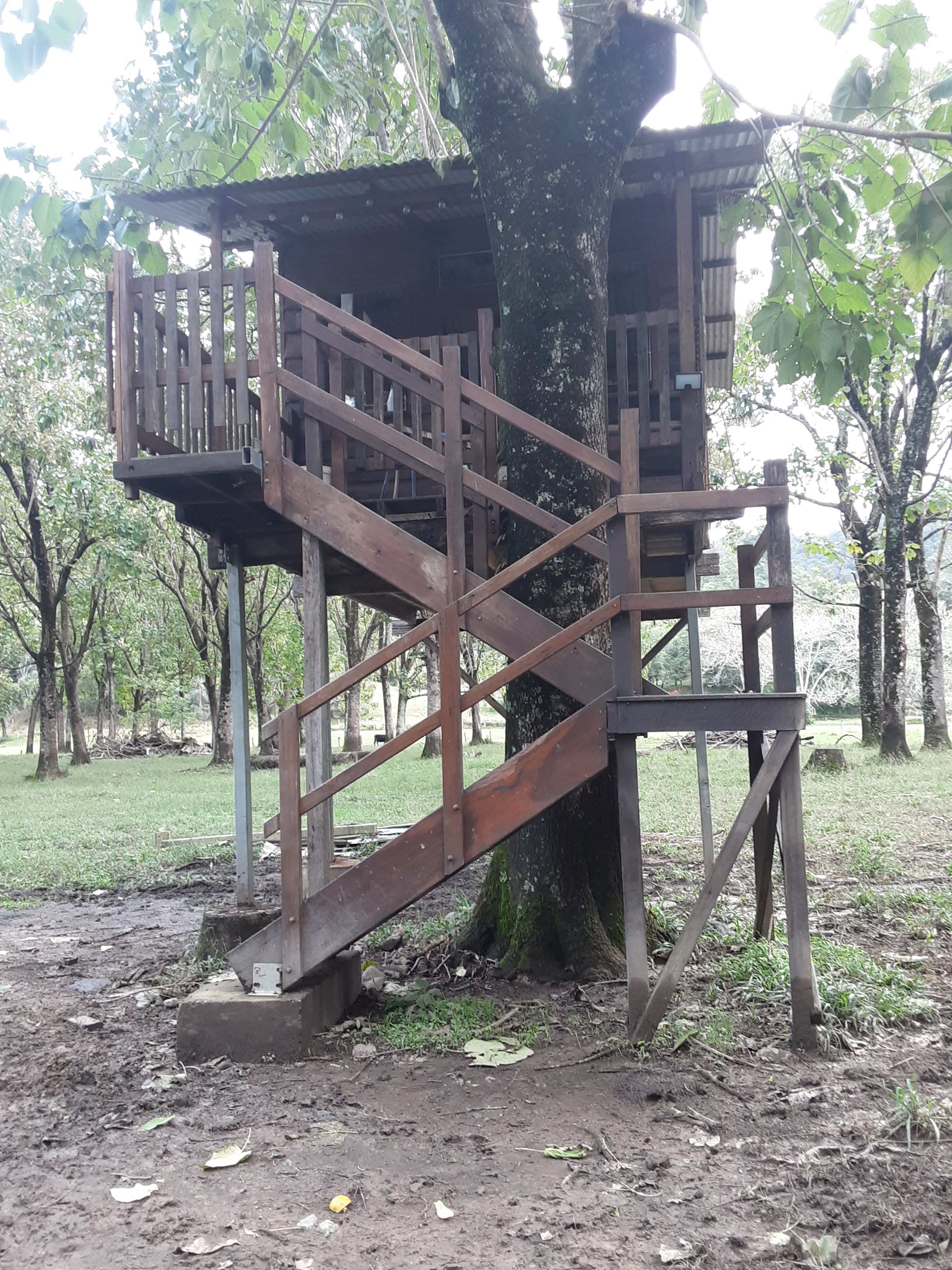 Sygoglin Treehouse