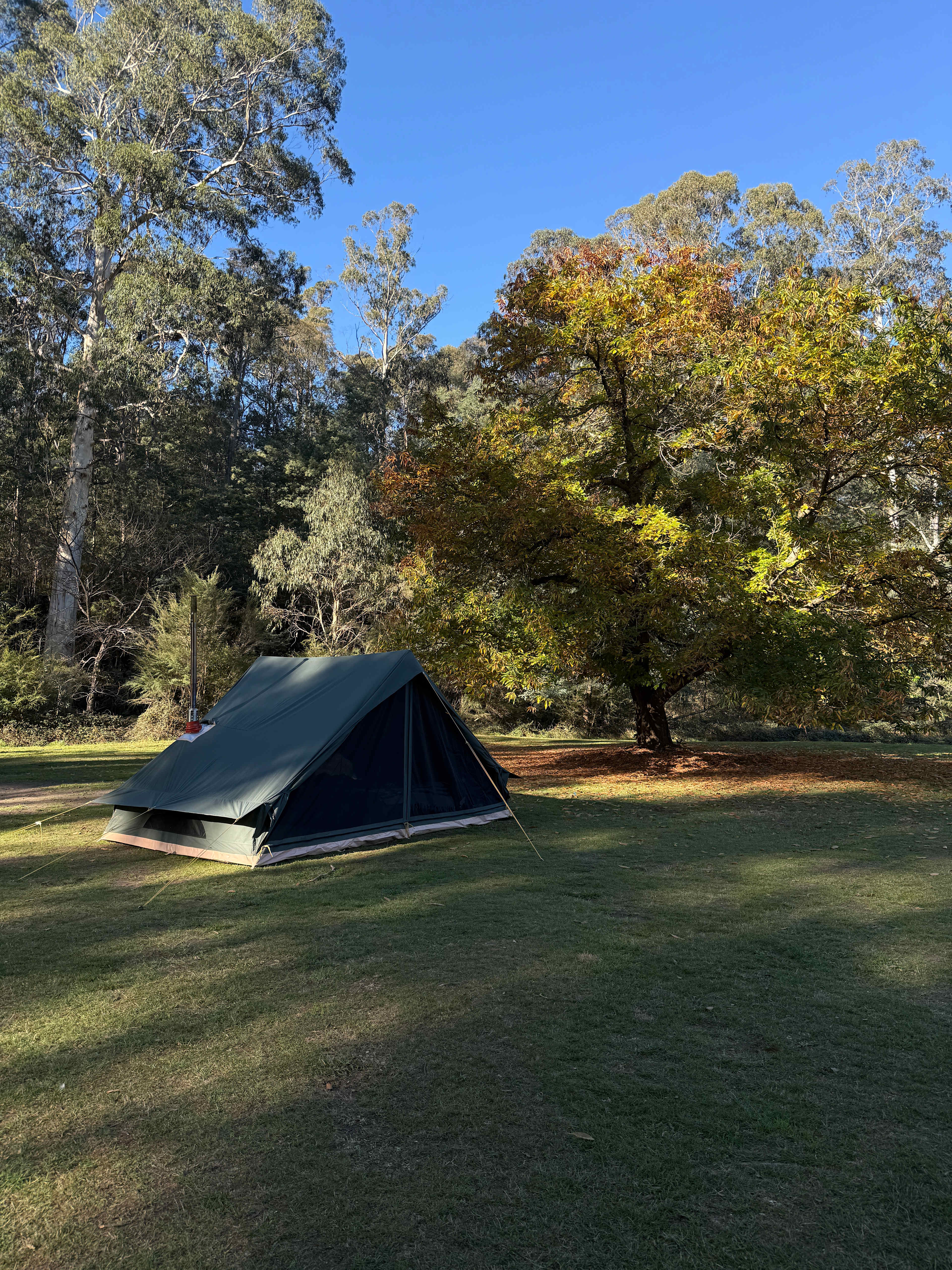 Hazelnut Valley Farm Stay