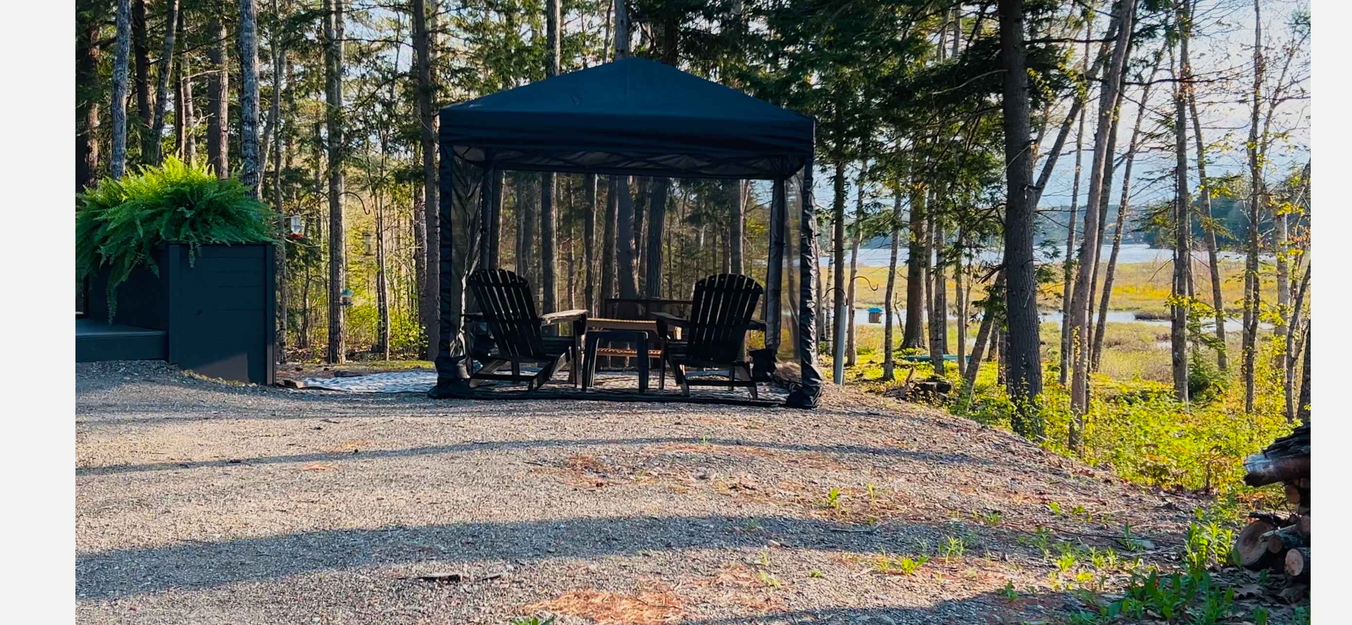 County Living