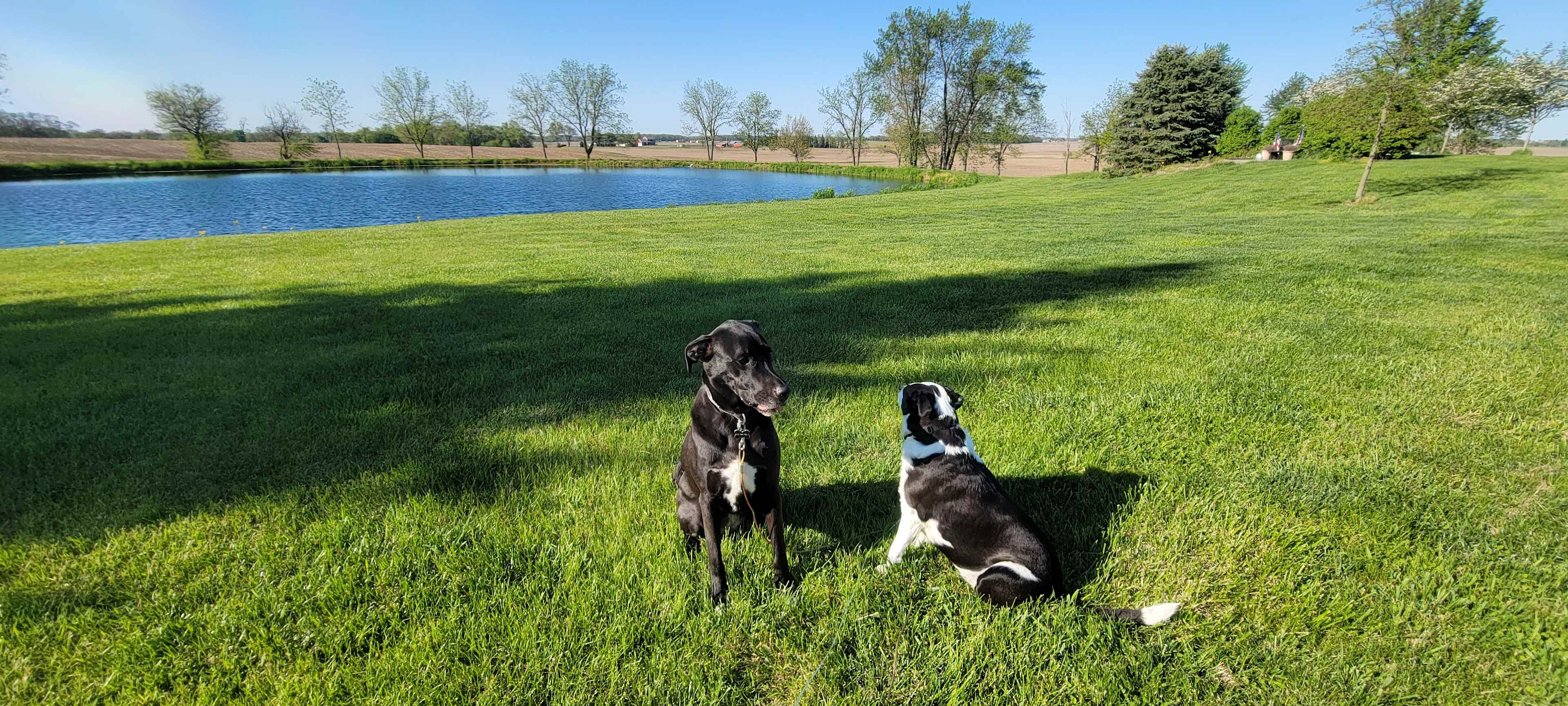 Green Plains Ranch