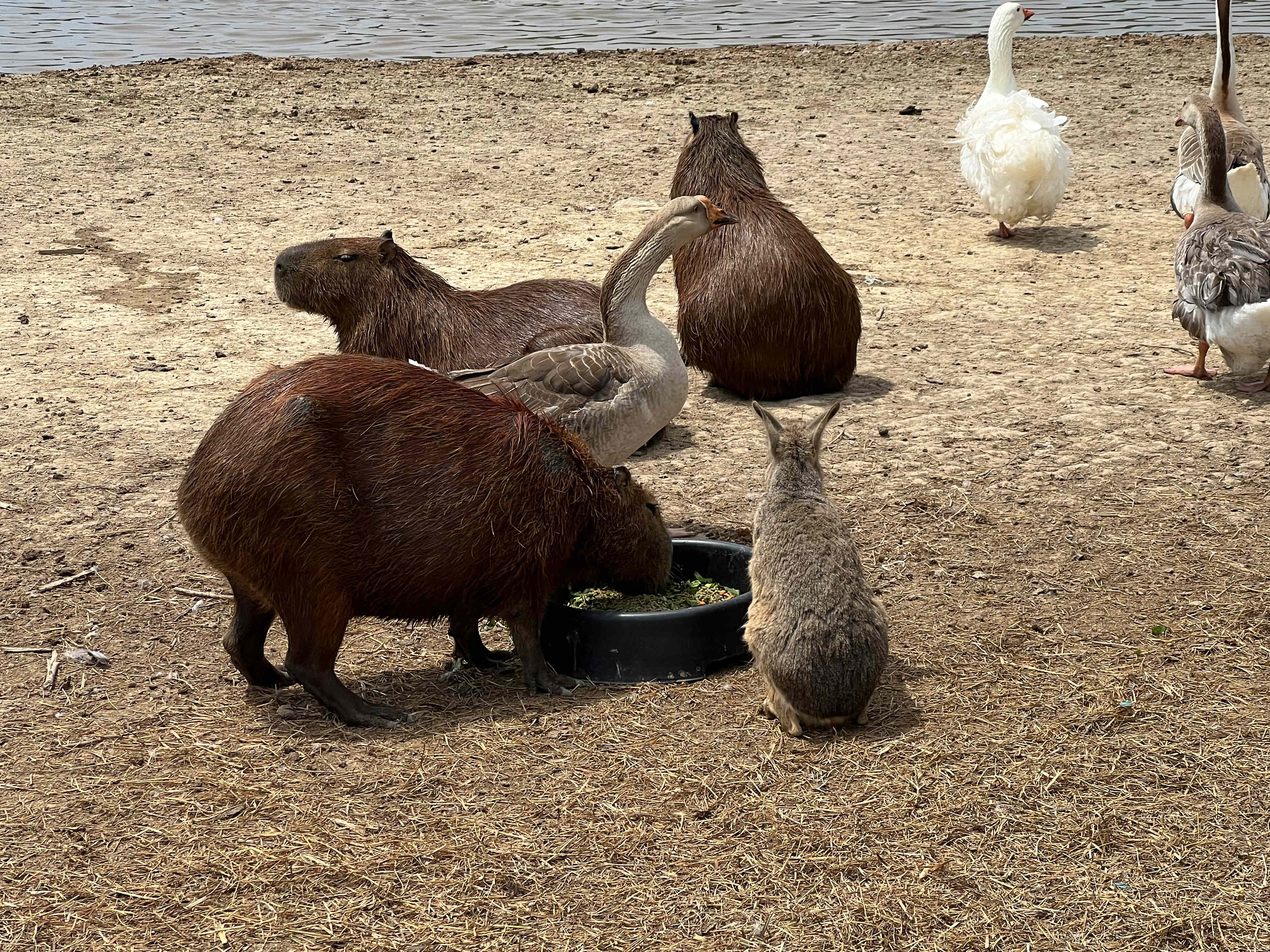 Farm & Zoo Campground