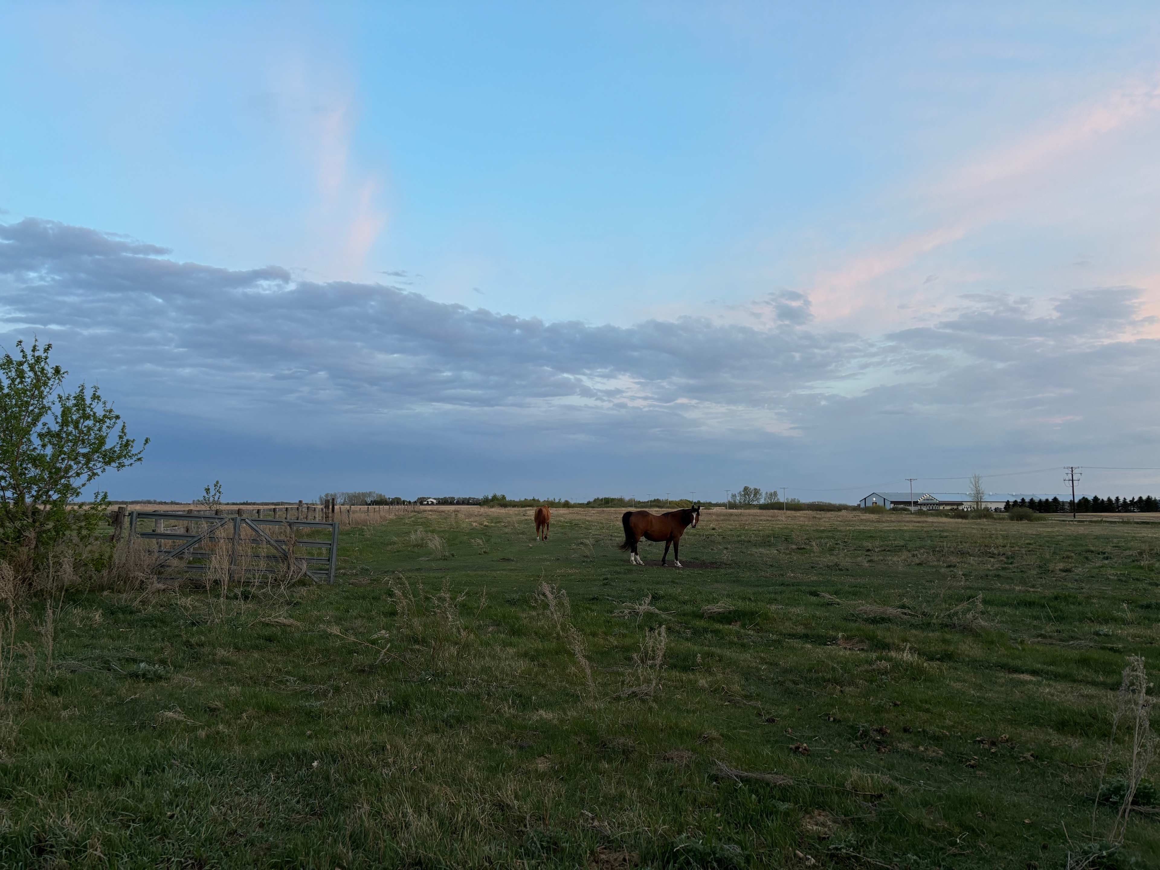 Black Poplar Farm
